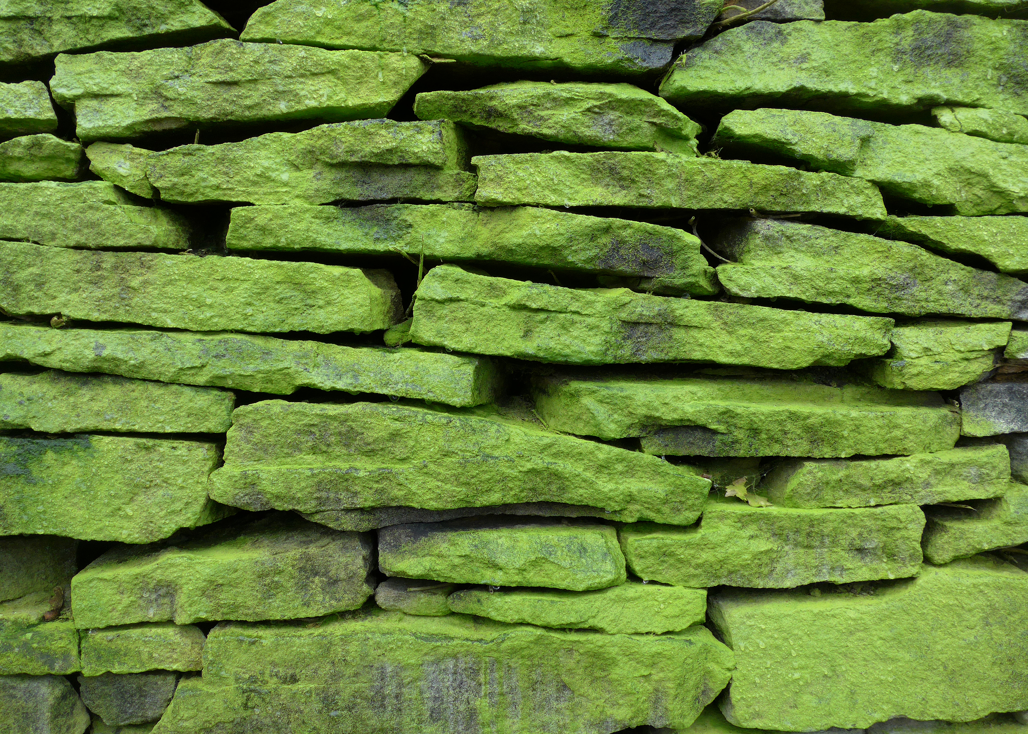 84121 free download Green wallpapers for phone,  Green images and screensavers for mobile