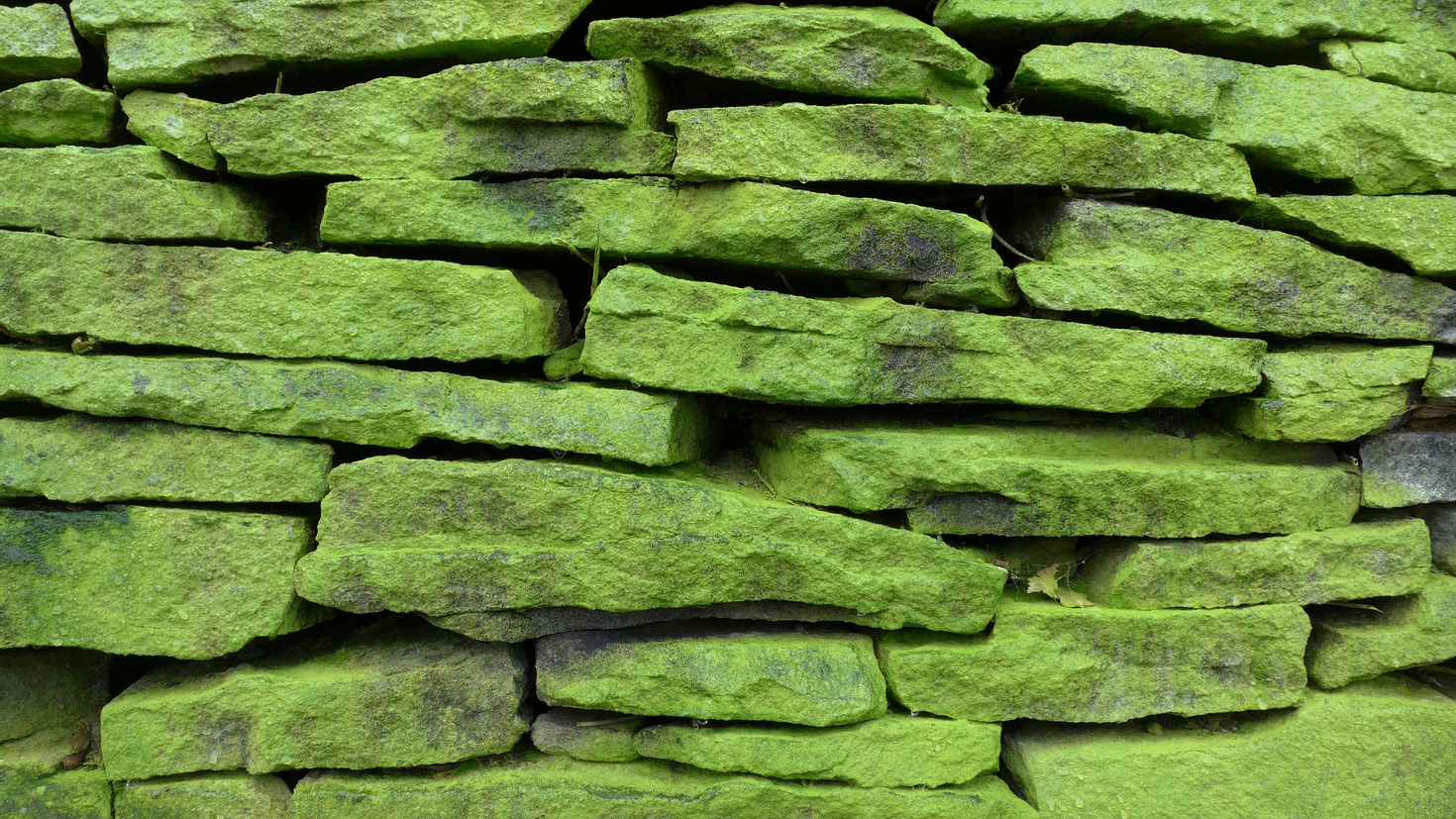 Обои stone. Каменная кладка. Каменная стена. Зеленый камень. Текстура камня.