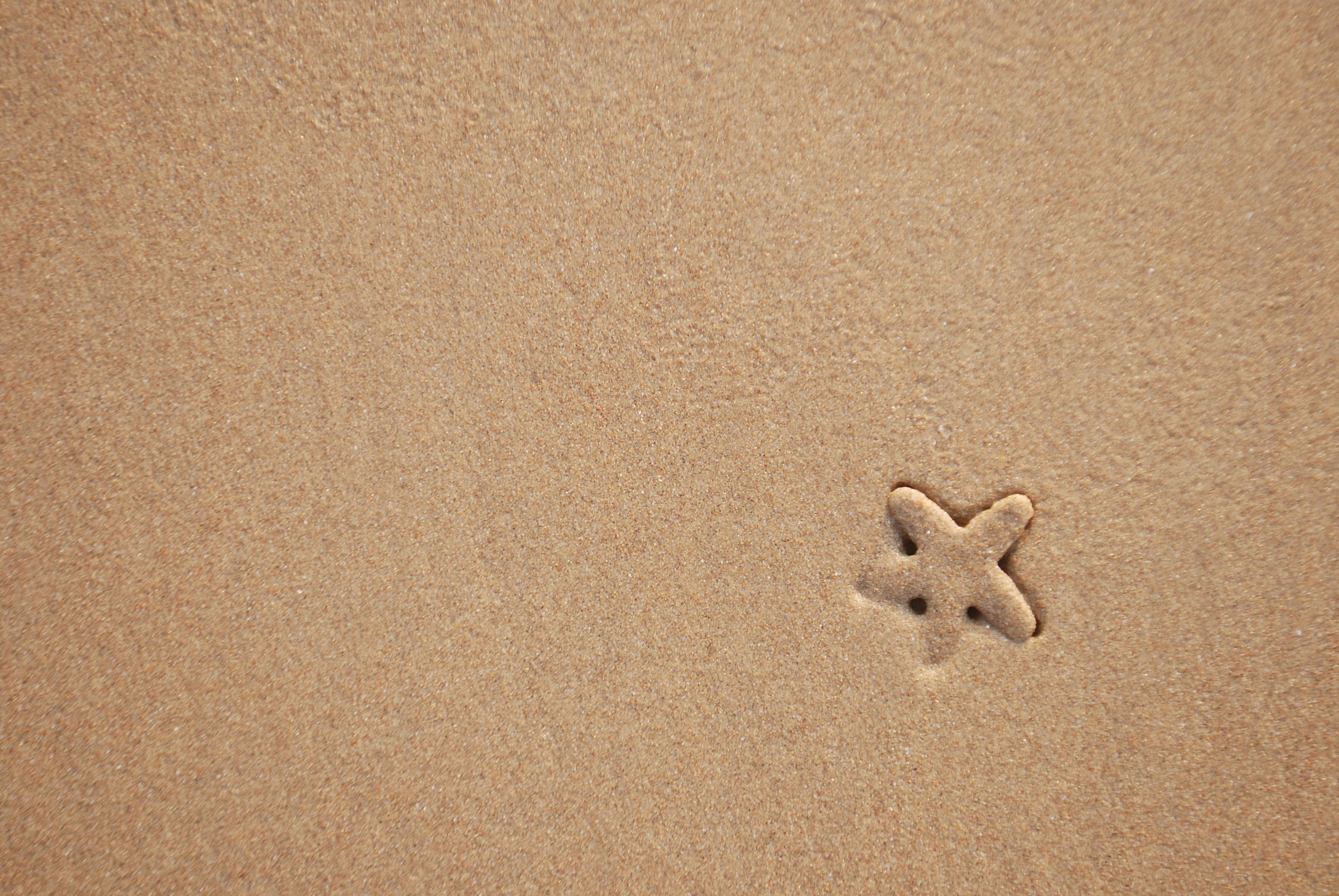 Download mobile wallpaper Starfish, Sand, Texture, Minimalism, Beach for free.