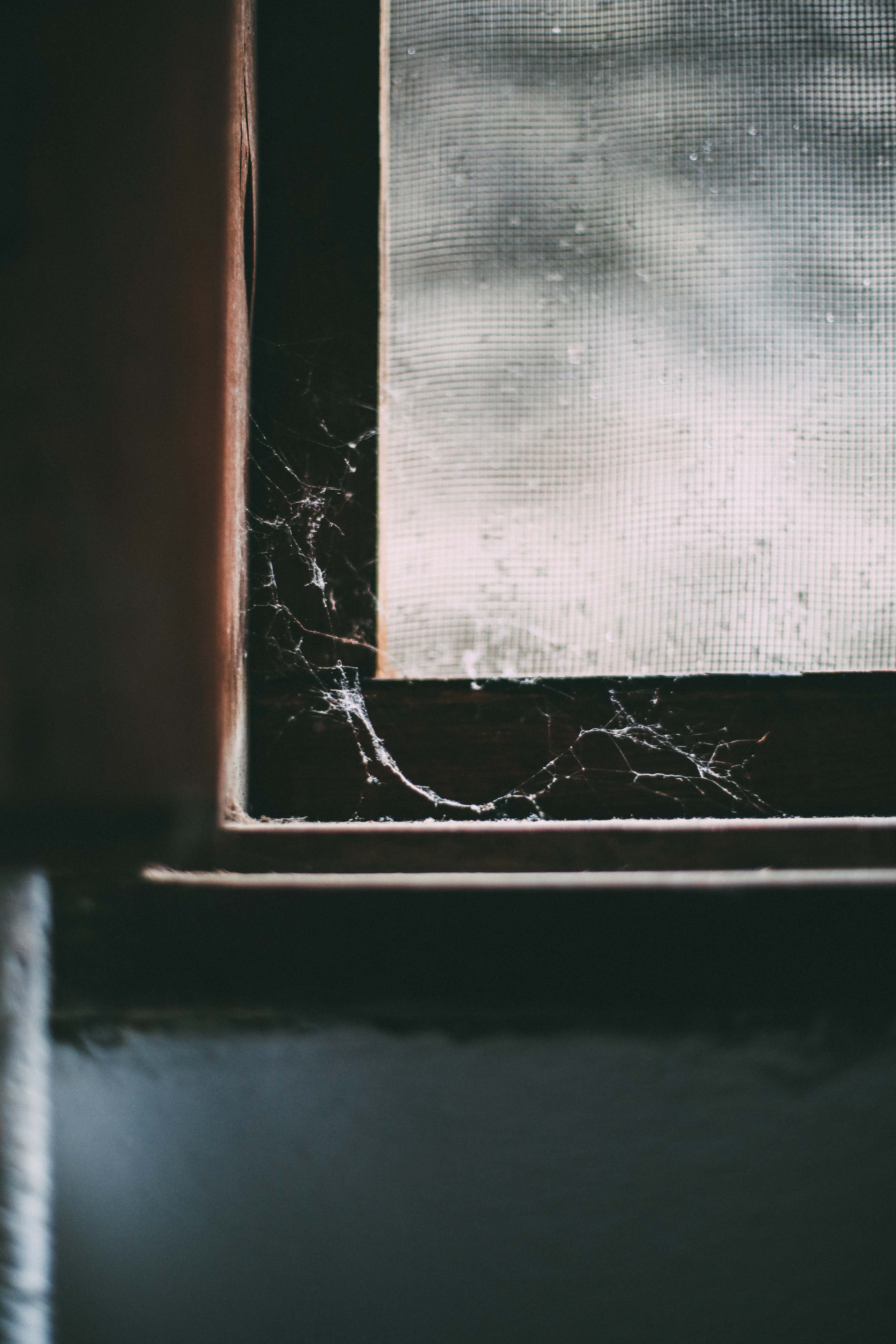 web, macro, dark, old, window, abandoned