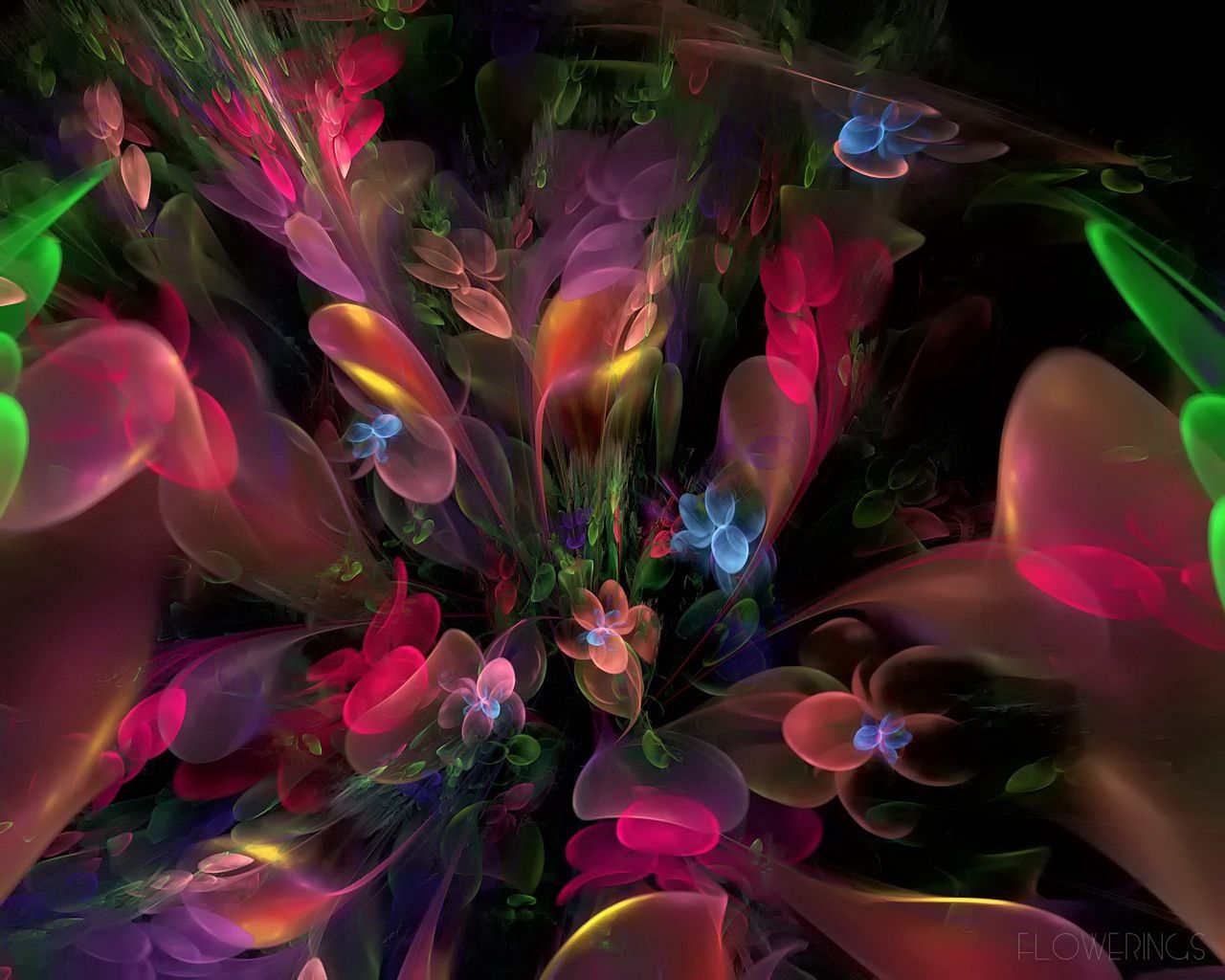 fractal, abstract, flowers, smoke, multicolored, motley