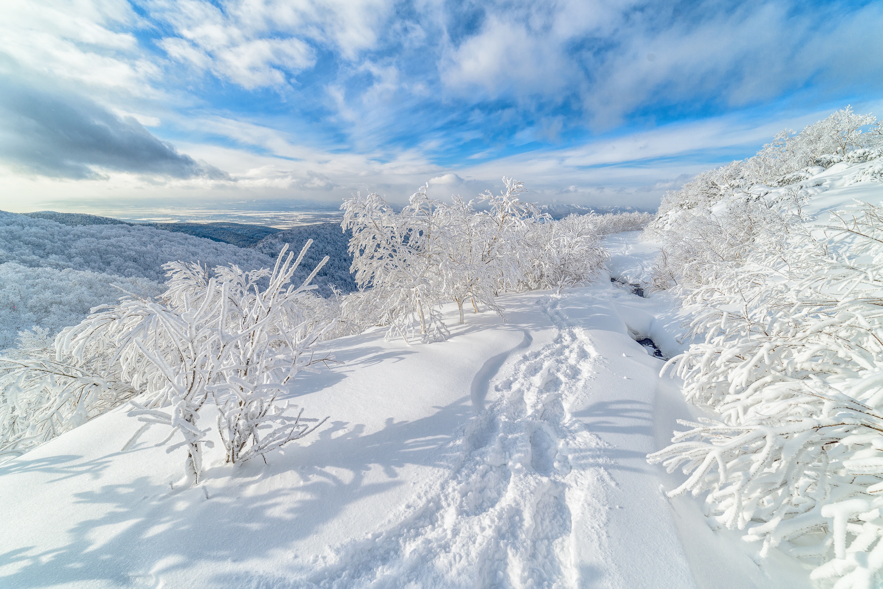 Где зима мягкая. Южно Сахалинск природа зима. Снежные просторы. Заснеженные просторы. Зимние просторы.