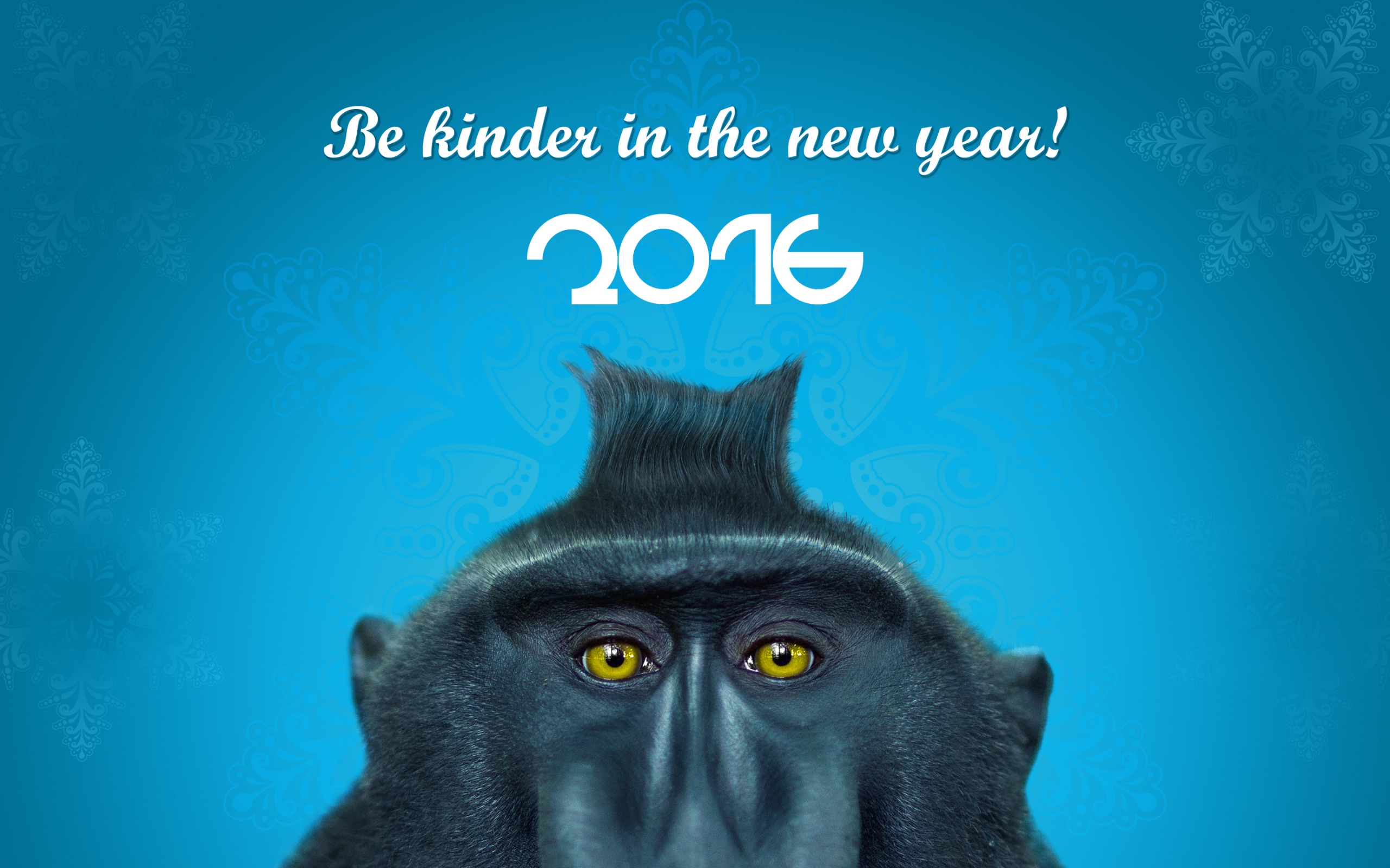 Download mobile wallpaper Holiday, Monkey, Eye, Crested Black Macaque, New Year 2016 for free.