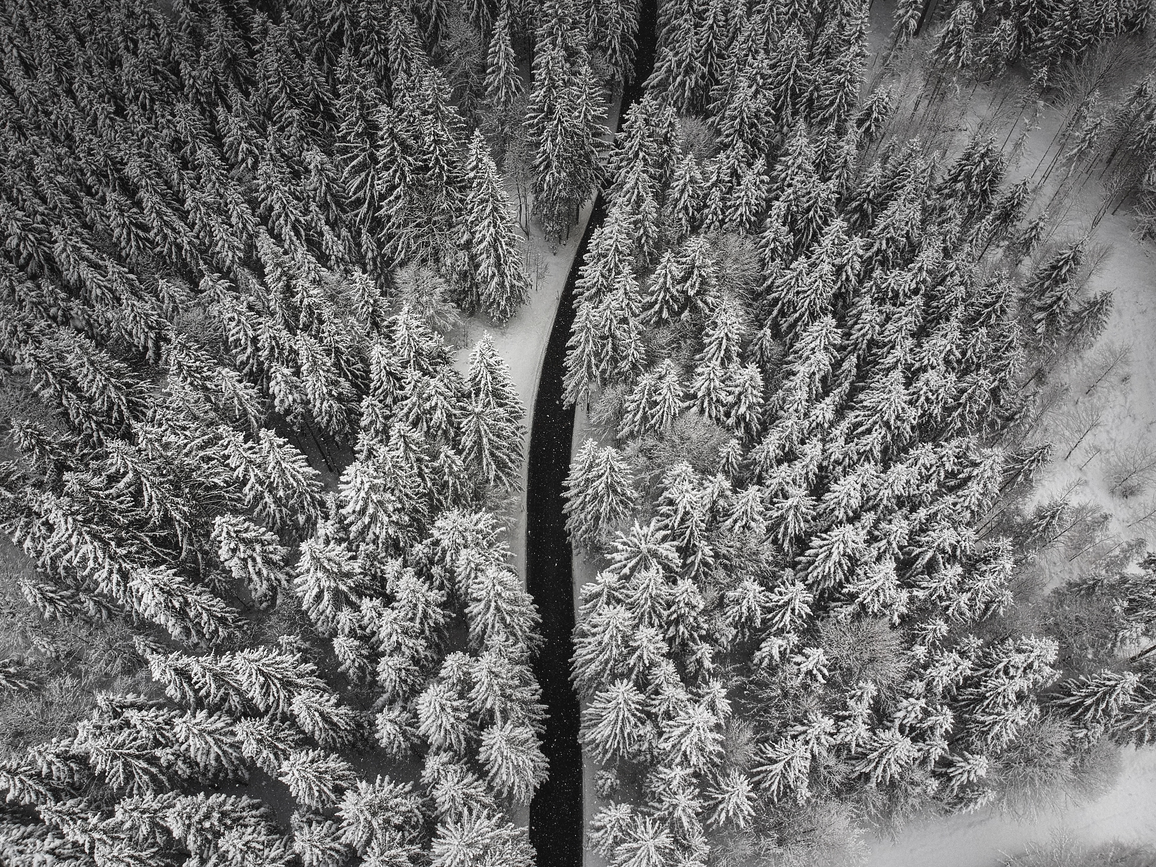 146280 descargar imagen invierno, naturaleza, árboles, nieve, vista desde arriba, camino: fondos de pantalla y protectores de pantalla gratis