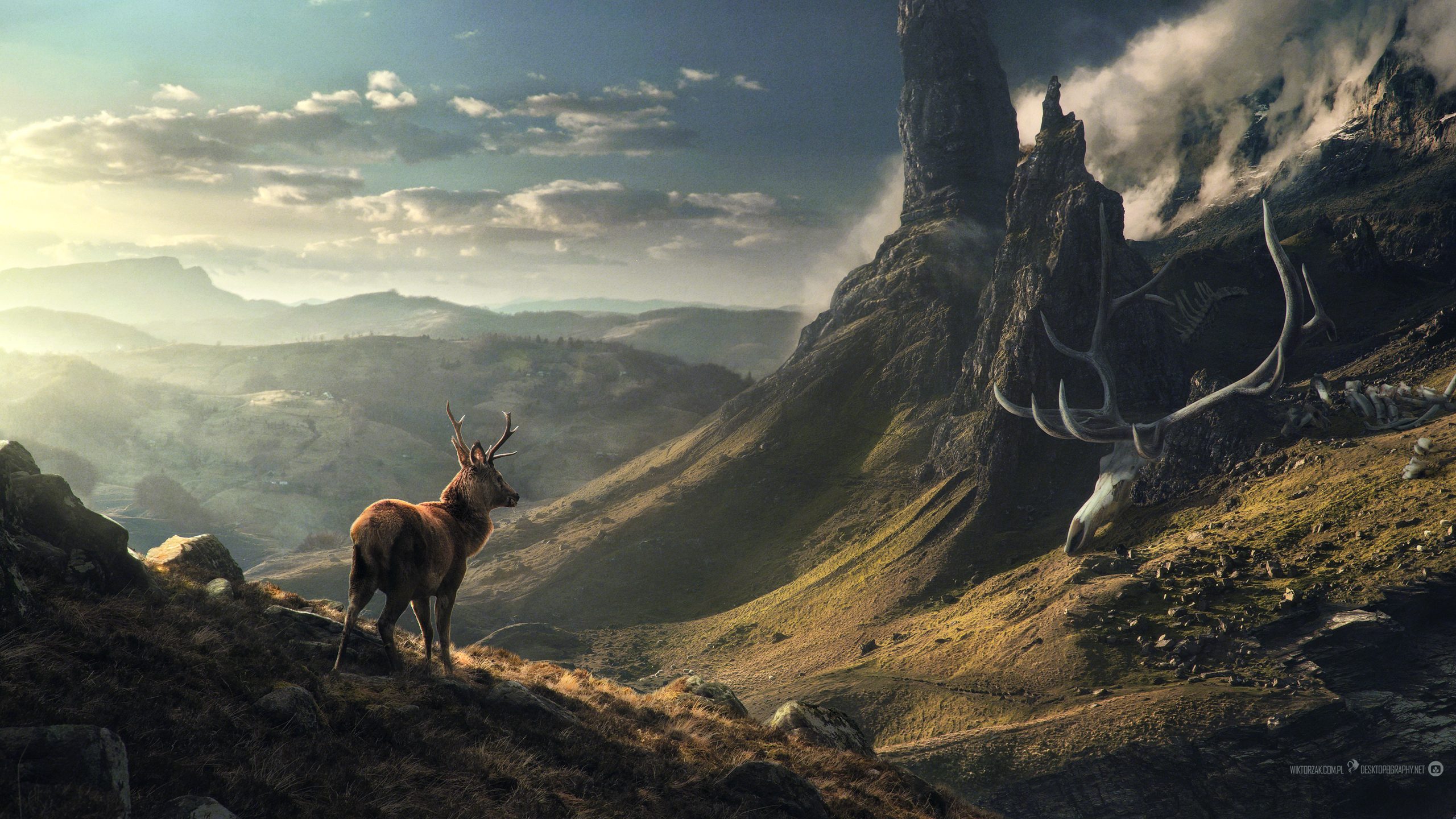 artistic, desktopography, deer, fantasy, landscape Full HD
