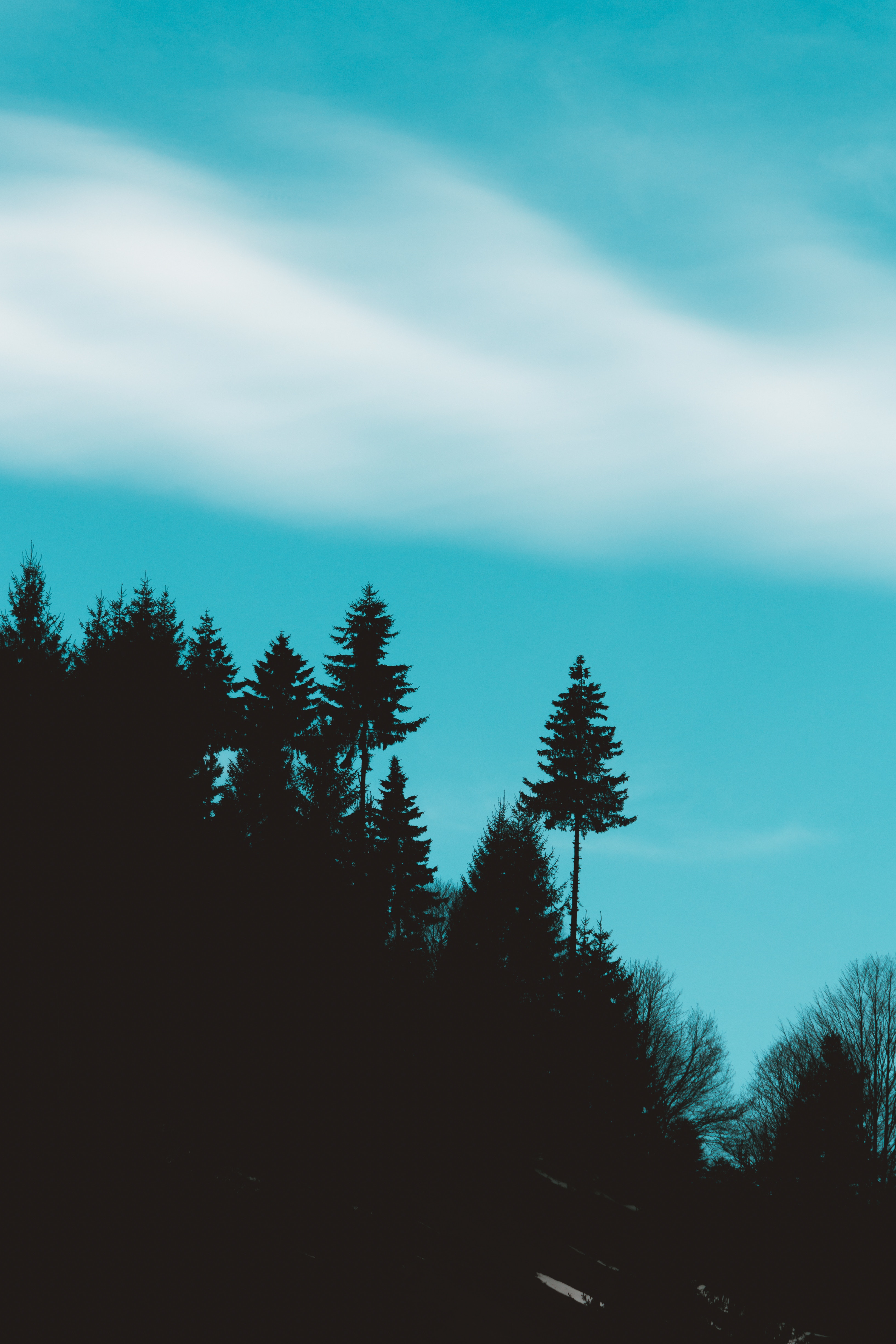 dark, trees, sky, silhouettes, elevation iphone wallpaper
