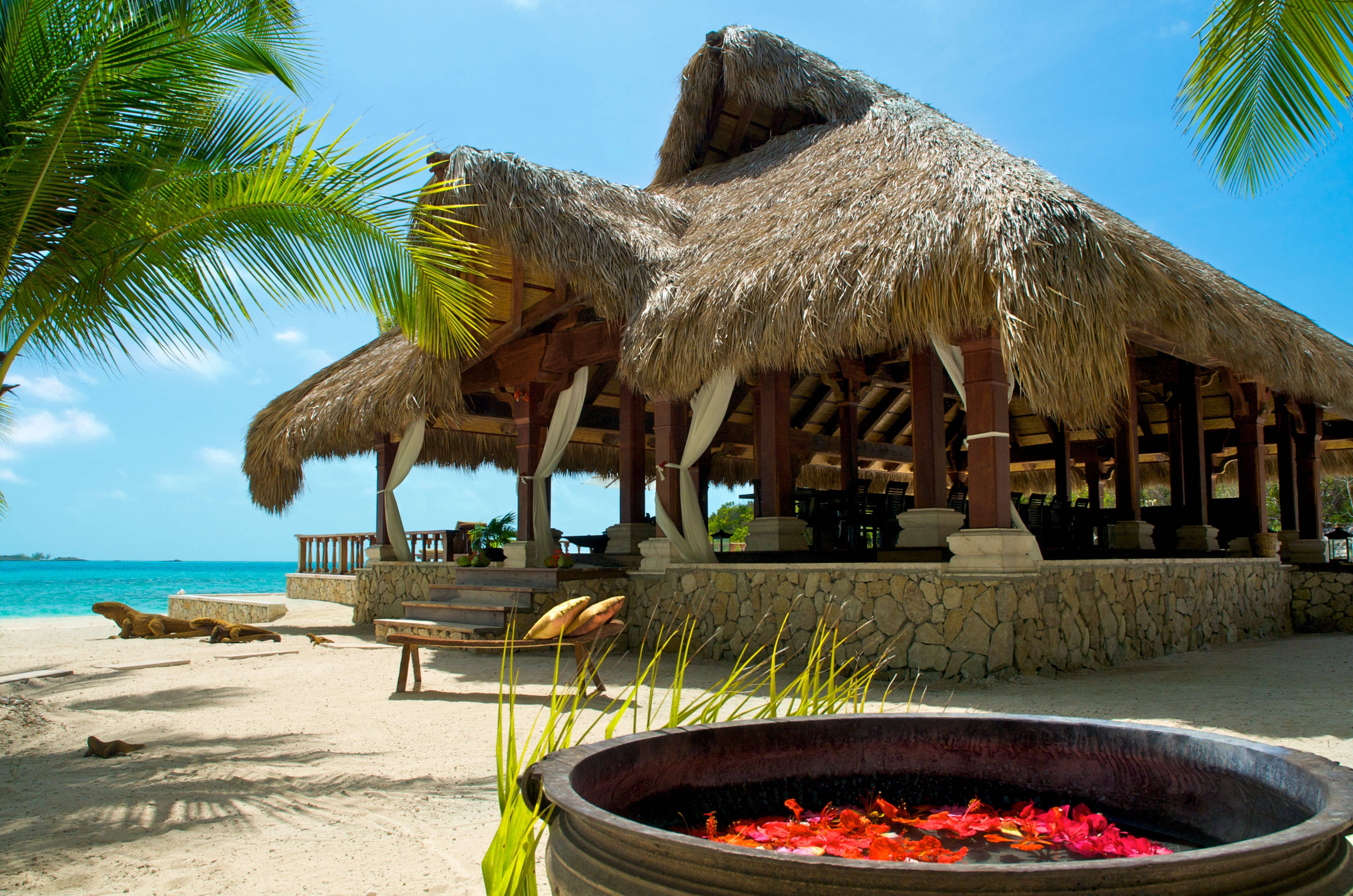 Laden Sie das Natur, Palms, Malediven, Tropen, Sommer, Strand-Bild kostenlos auf Ihren PC-Desktop herunter