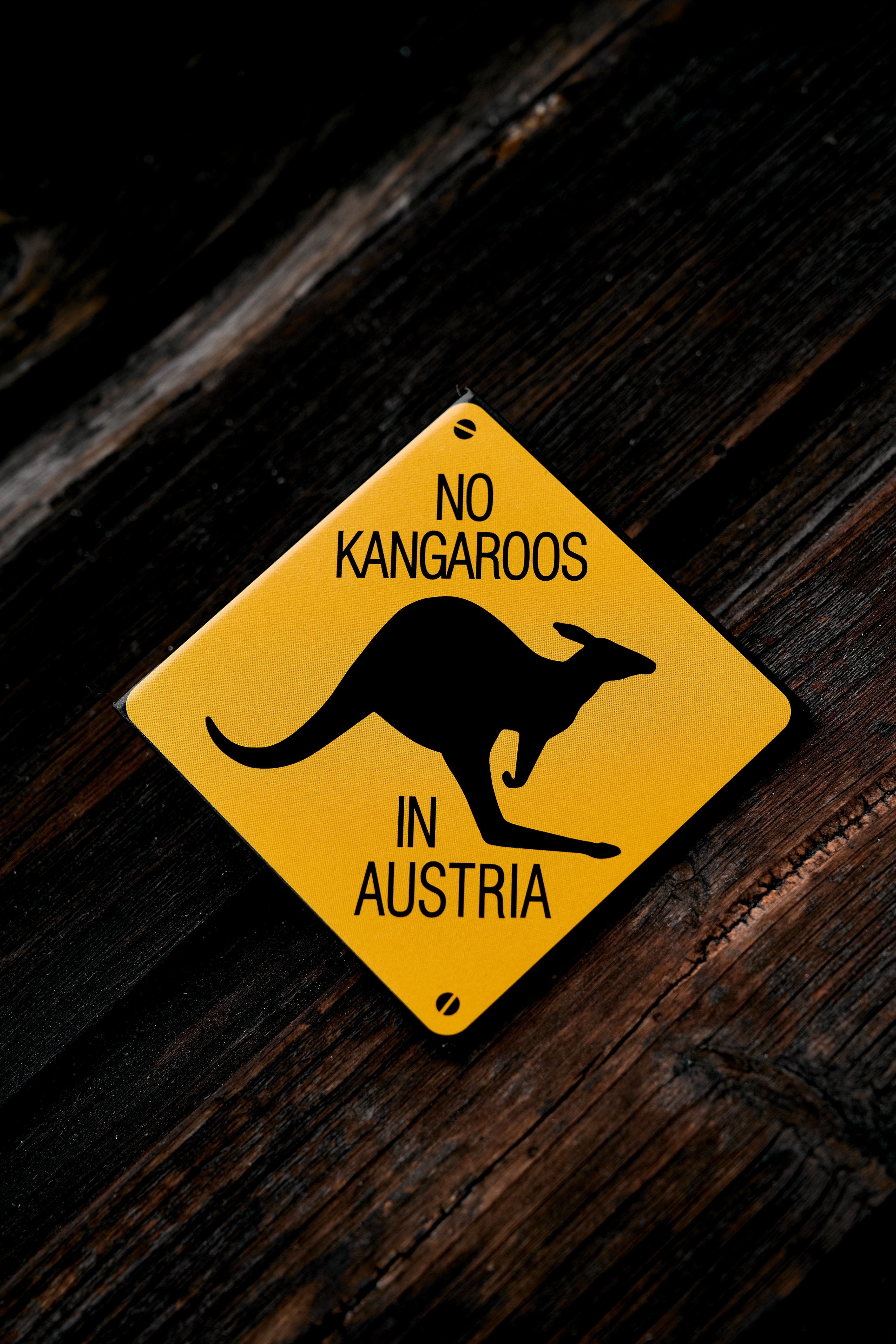 Kangaroo 4K Wallpaper