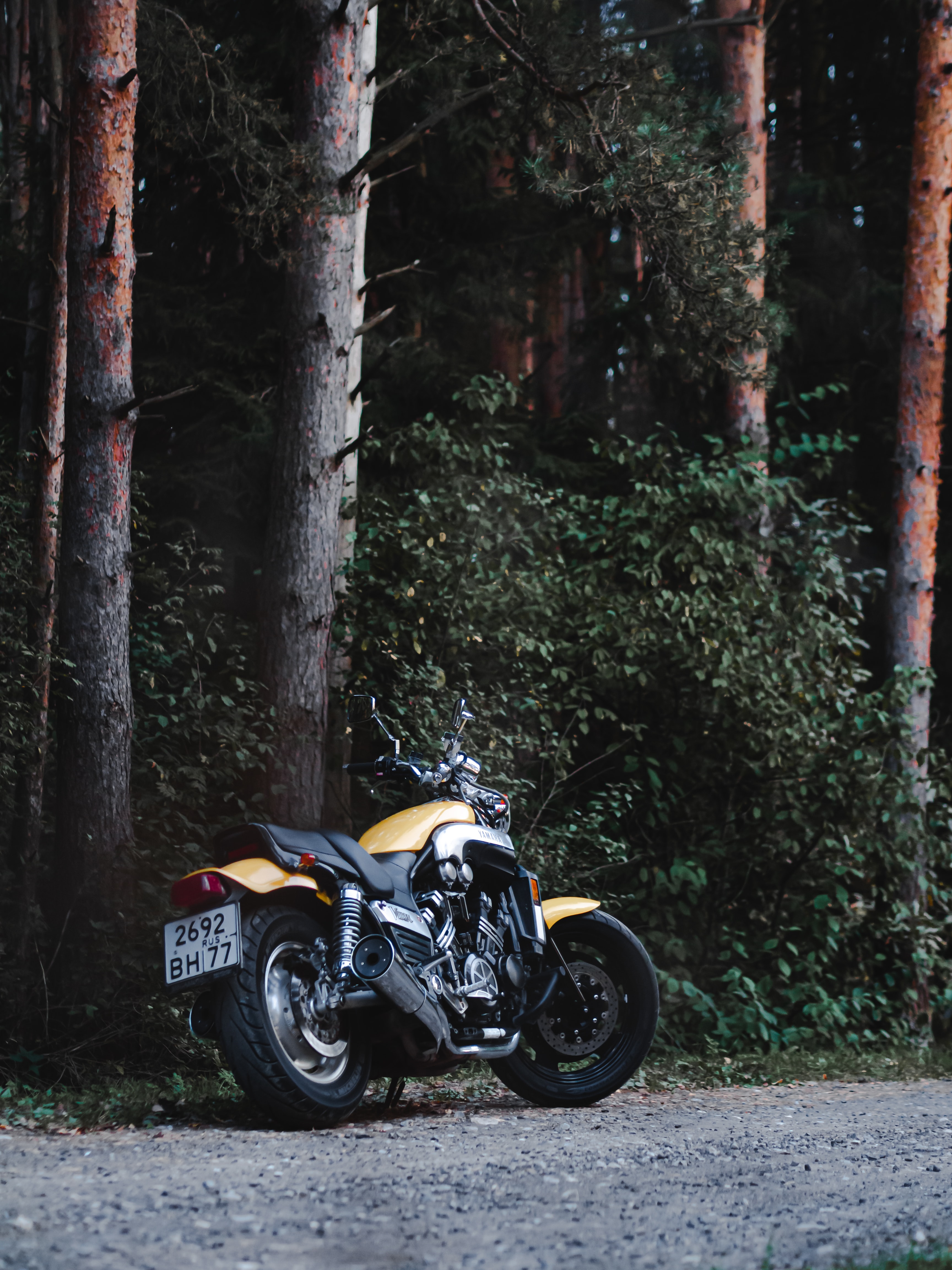 Download mobile wallpaper Trees, Rear View, Back View, Motorcycle, Motorcycles, Yamaha, Bike for free.