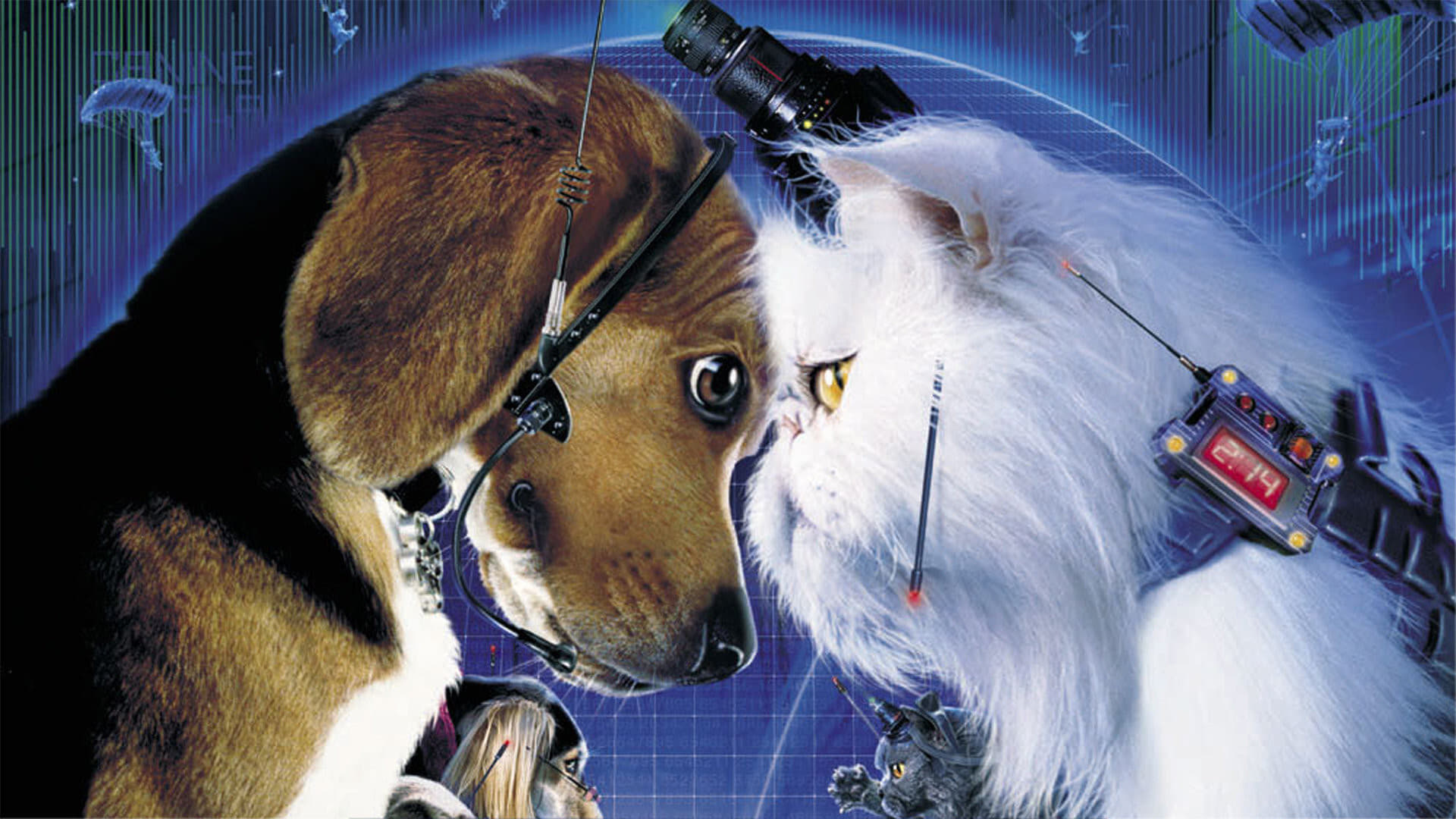Кошки против собак мультфильм 2001