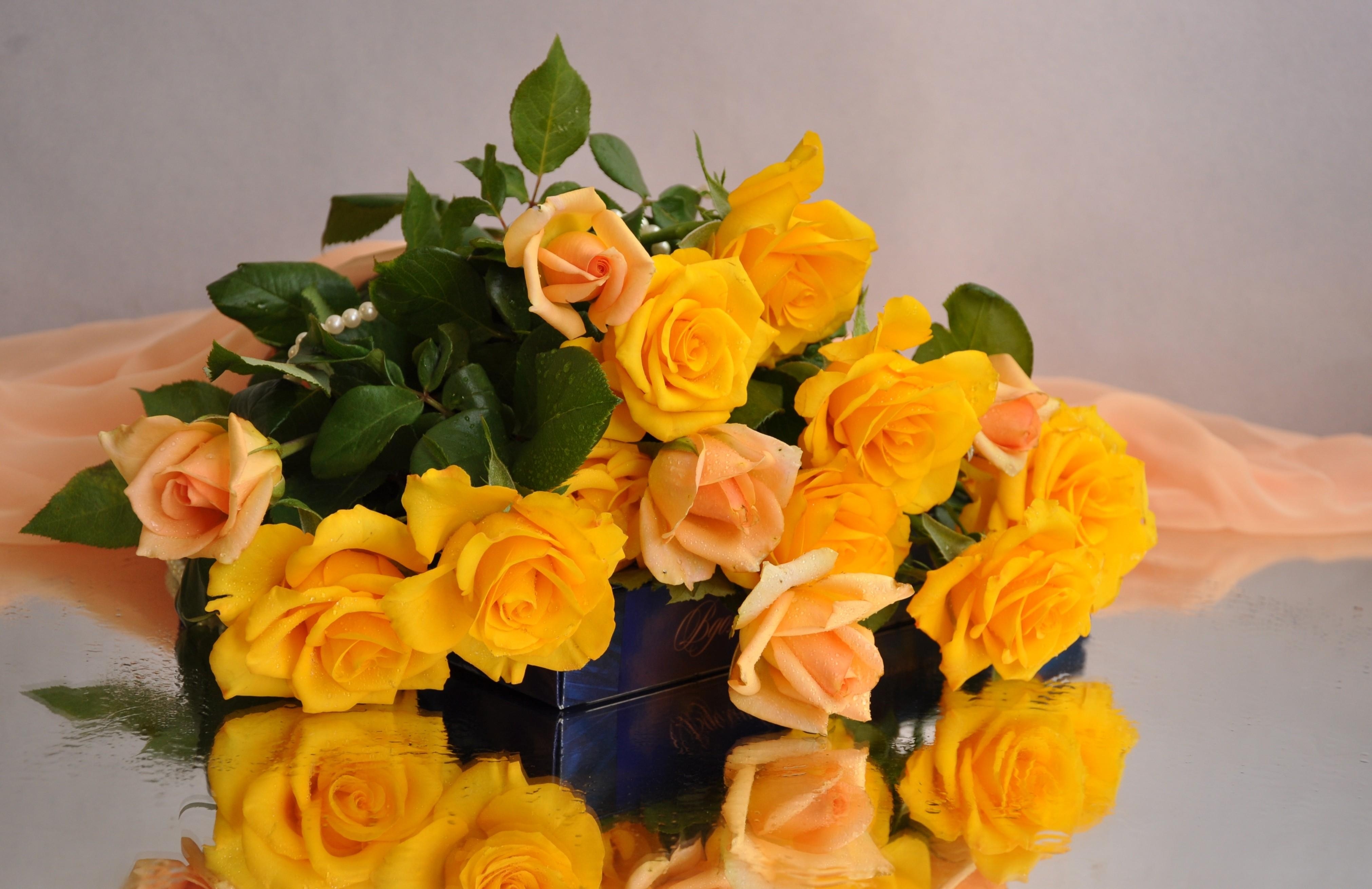 roses, flowers, candies, yellow, bouquet, cloth
