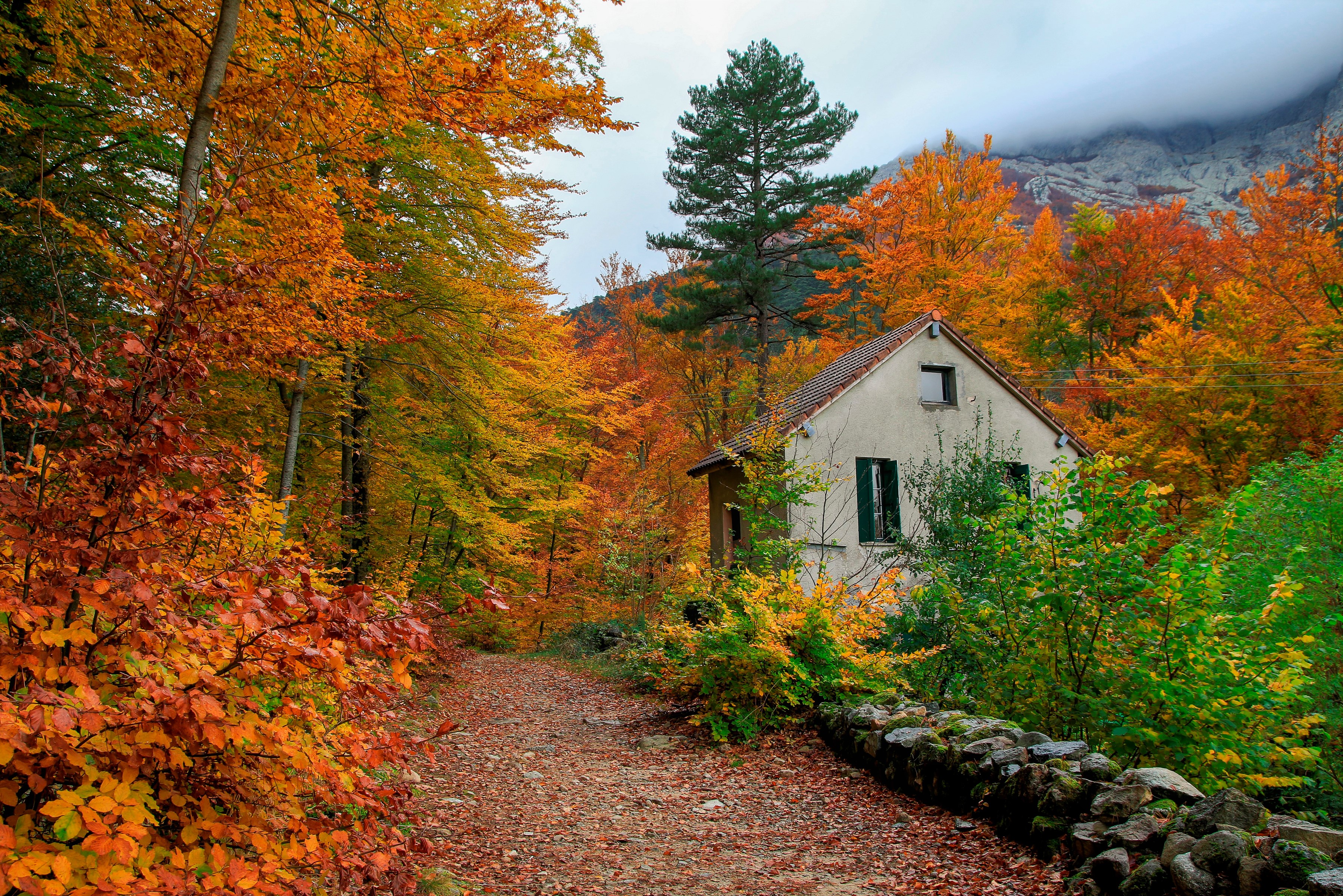 colorful, man made, path, fall, house, shed, tree download HD wallpaper