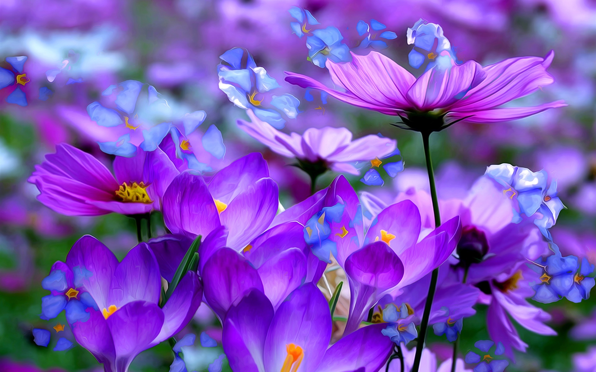 vertical wallpaper purple flower, artistic, painting, close up, cosmos, crocus, flower