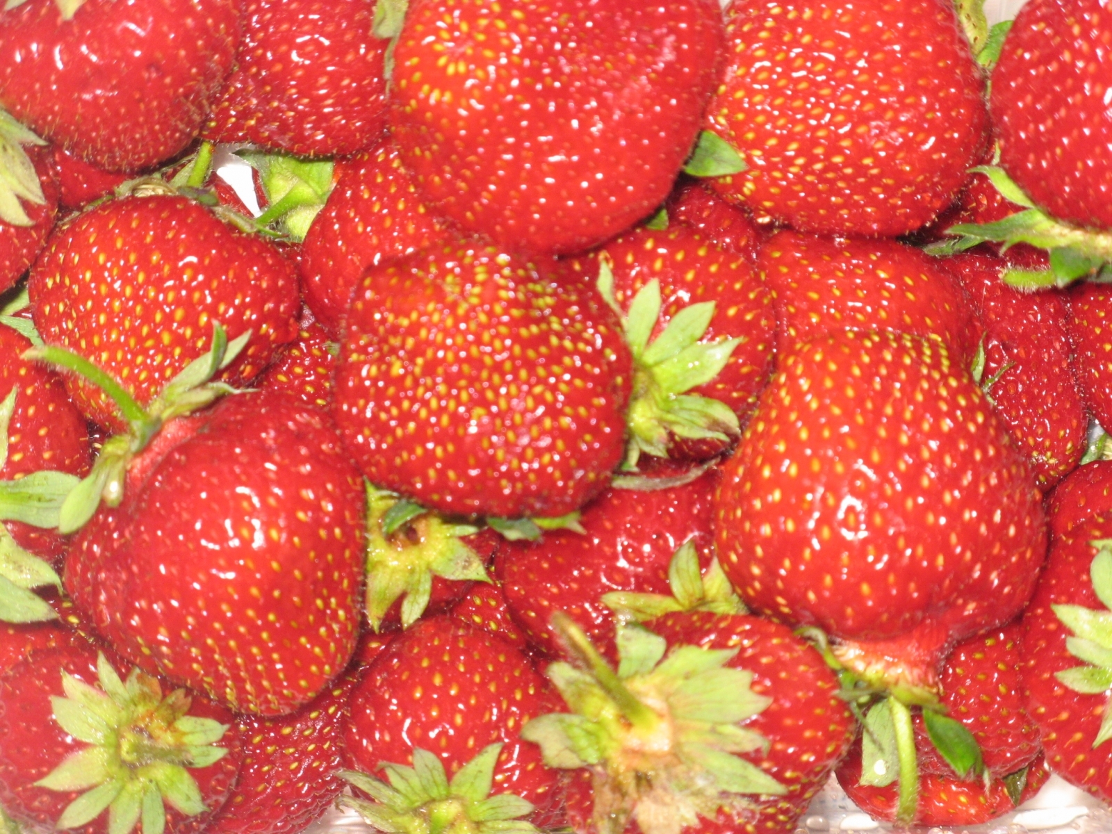 Free download wallpaper Background, Strawberry on your PC desktop
