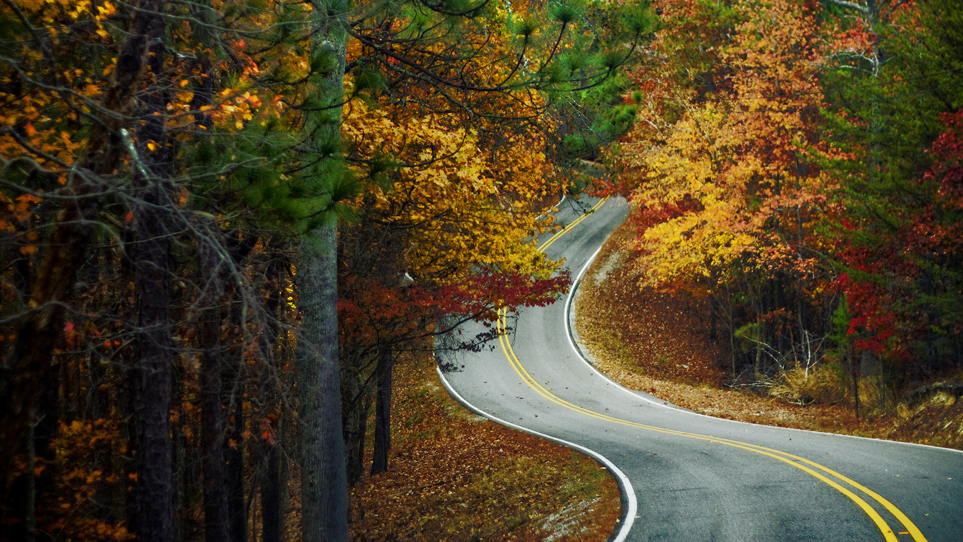 autumn, landscape, roads