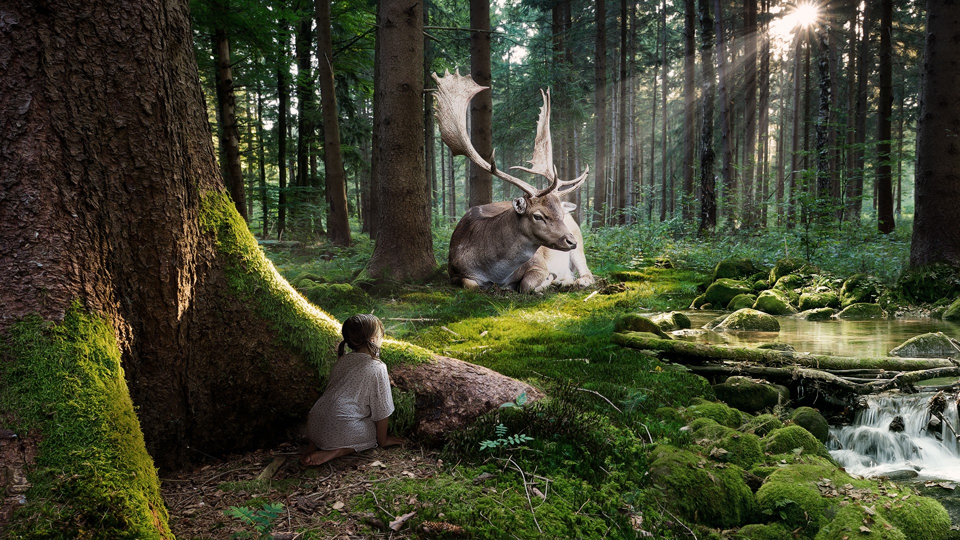 photography, manipulation, cgi, child, cute, elk, forest cellphone
