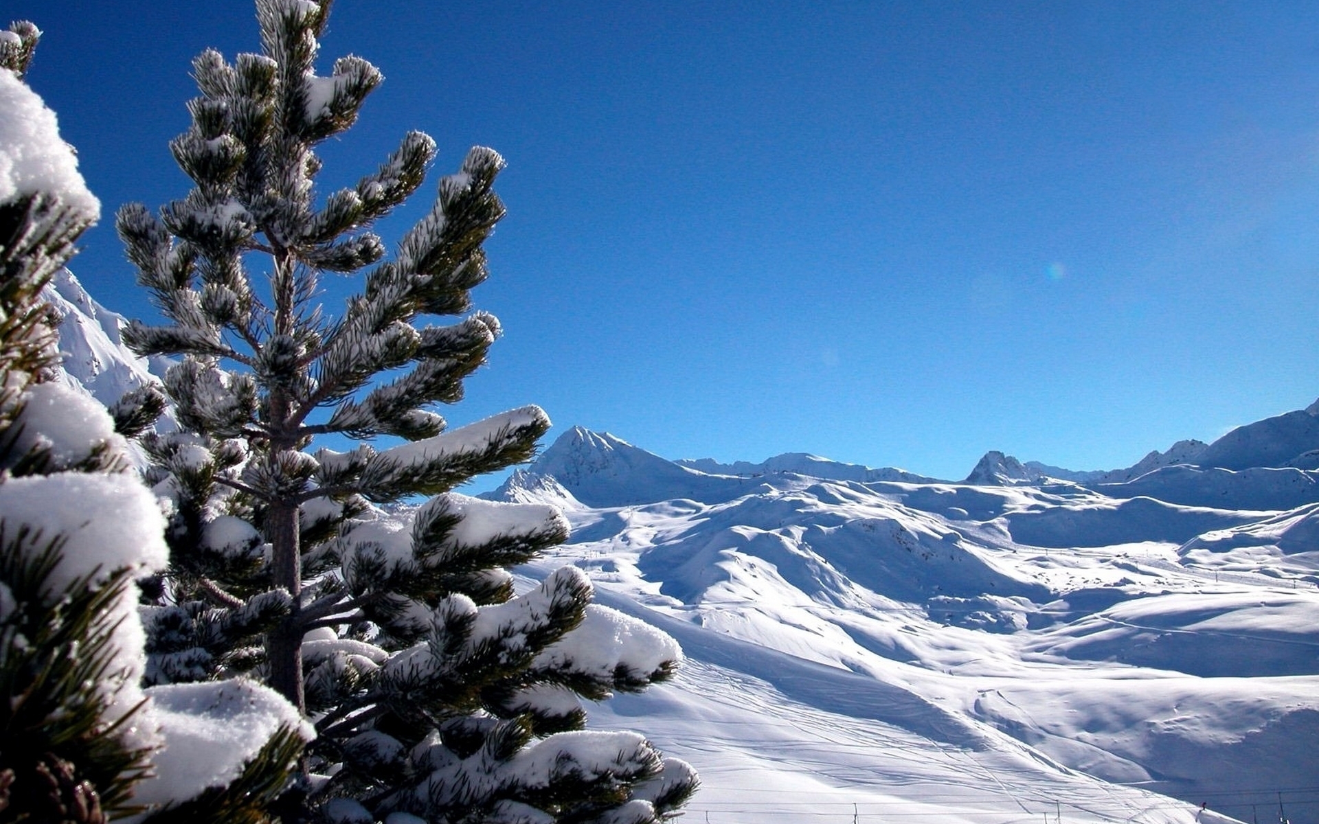 Free download wallpaper Landscape, Winter, Mountains, Pine on your PC desktop