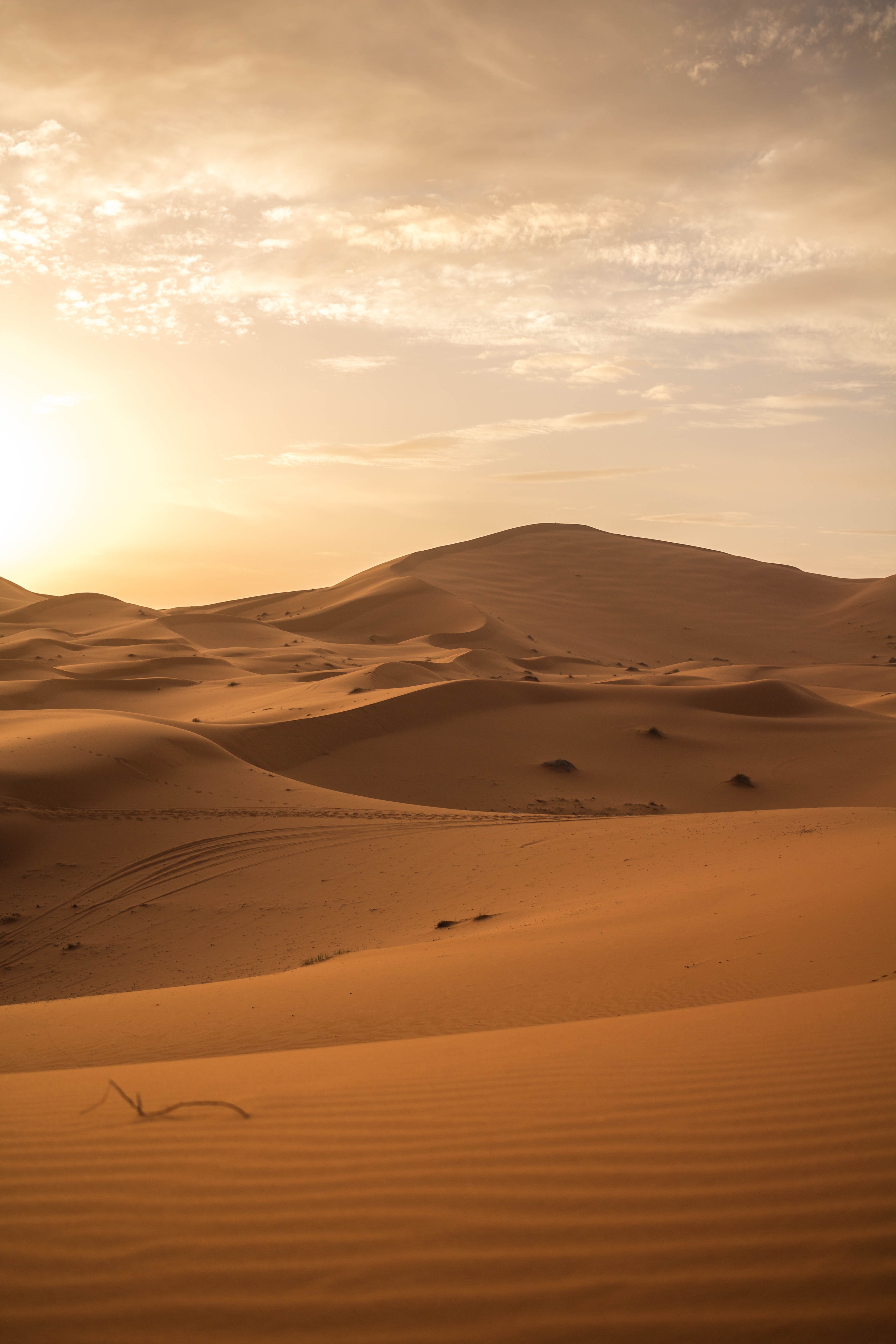 dunes, nature, sand, desert, horizon, links HD wallpaper