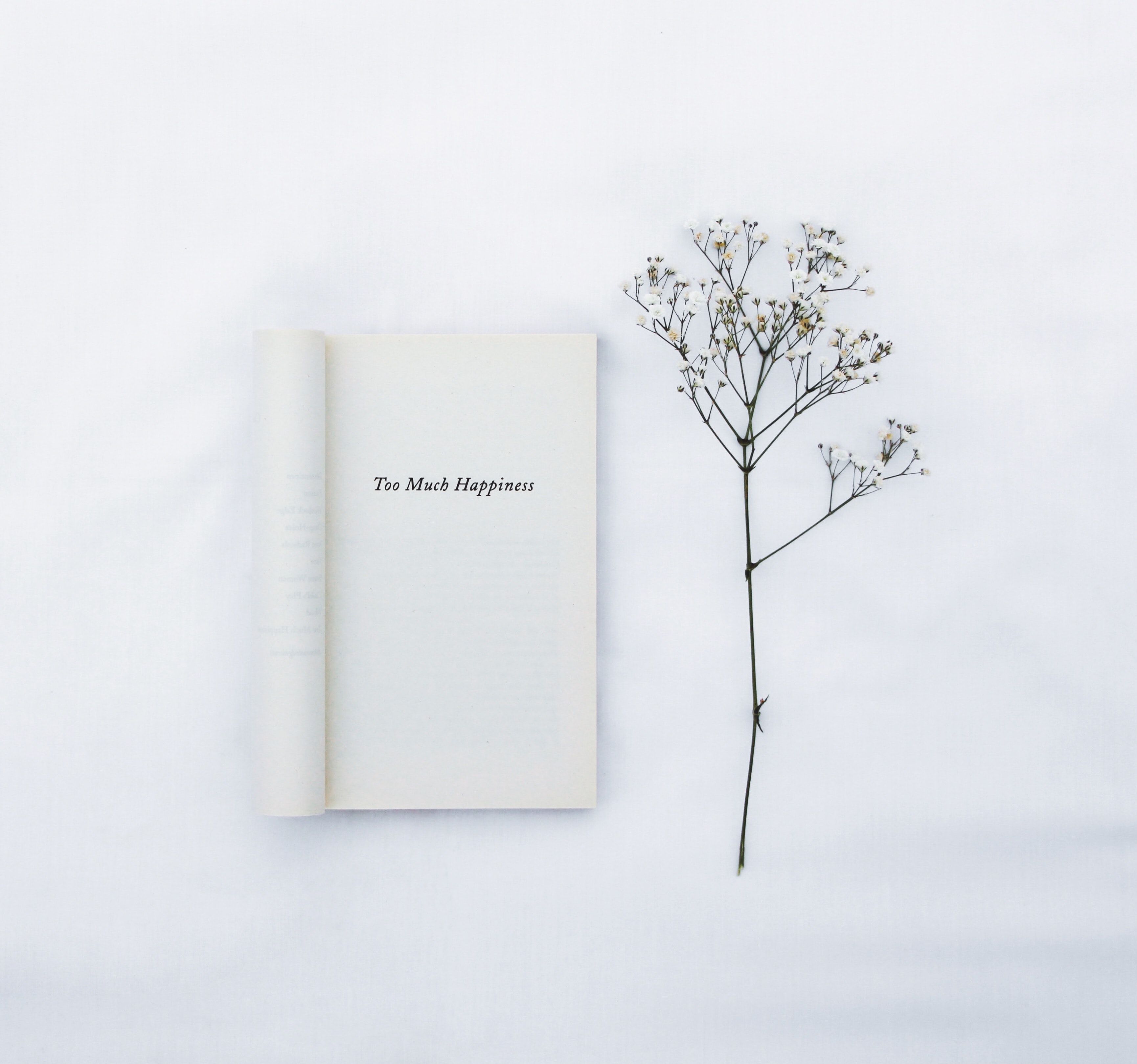 minimalism, book, words, flower, white, inscription