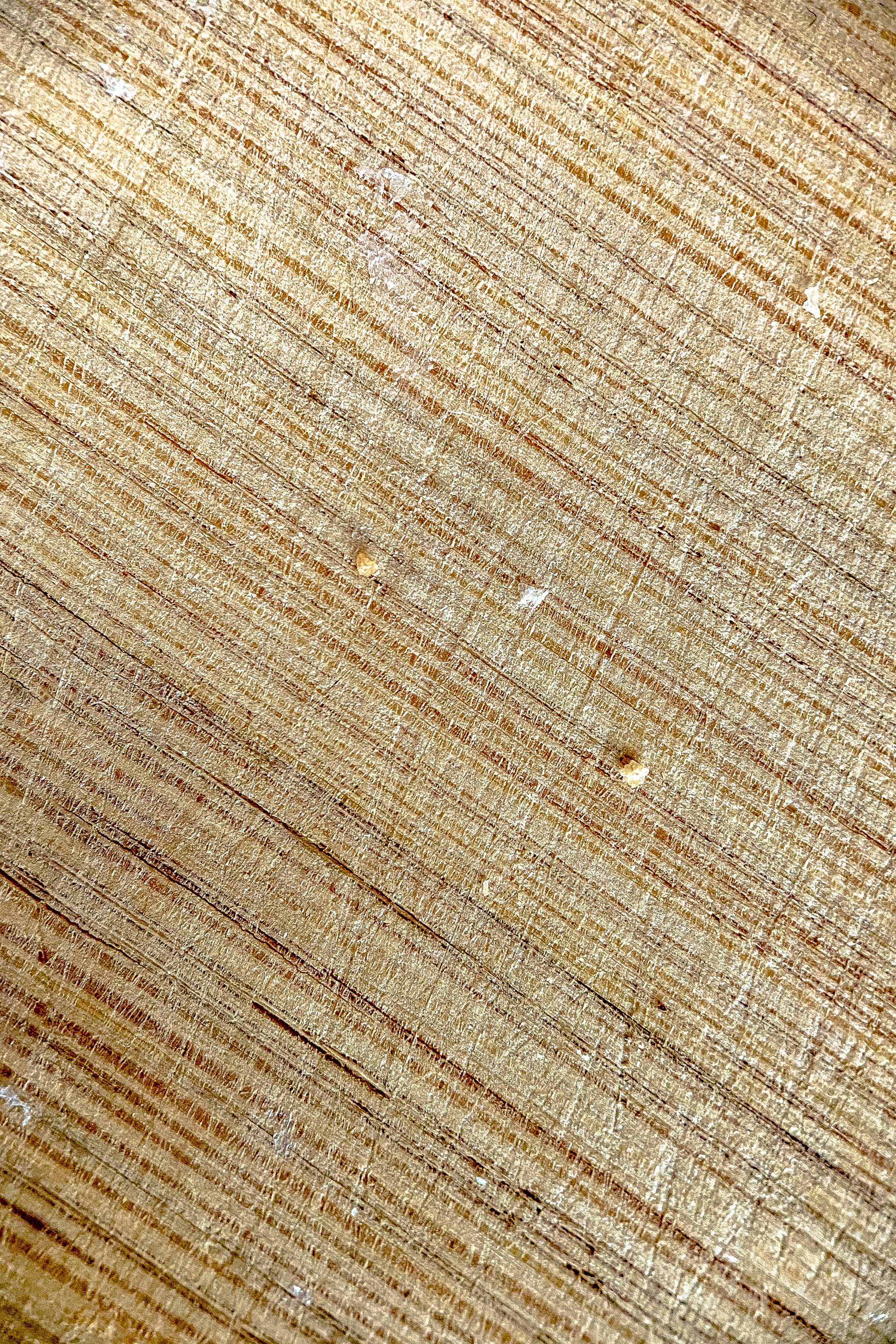 Download mobile wallpaper Textures, Log, Wood, Macro, Texture, Wooden for free.