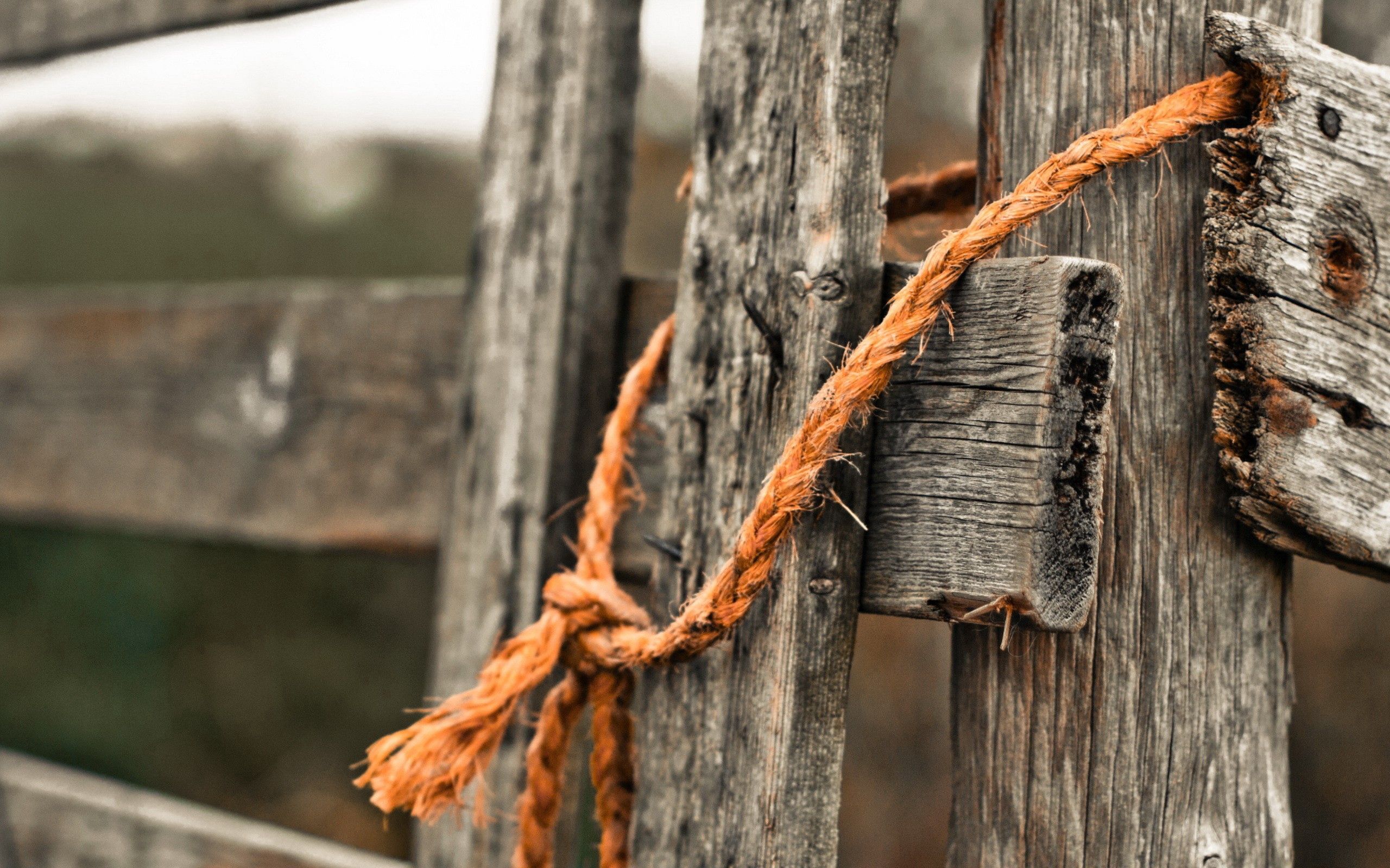 miscellanea, miscellaneous, old, fence, rope, knot cell phone wallpapers