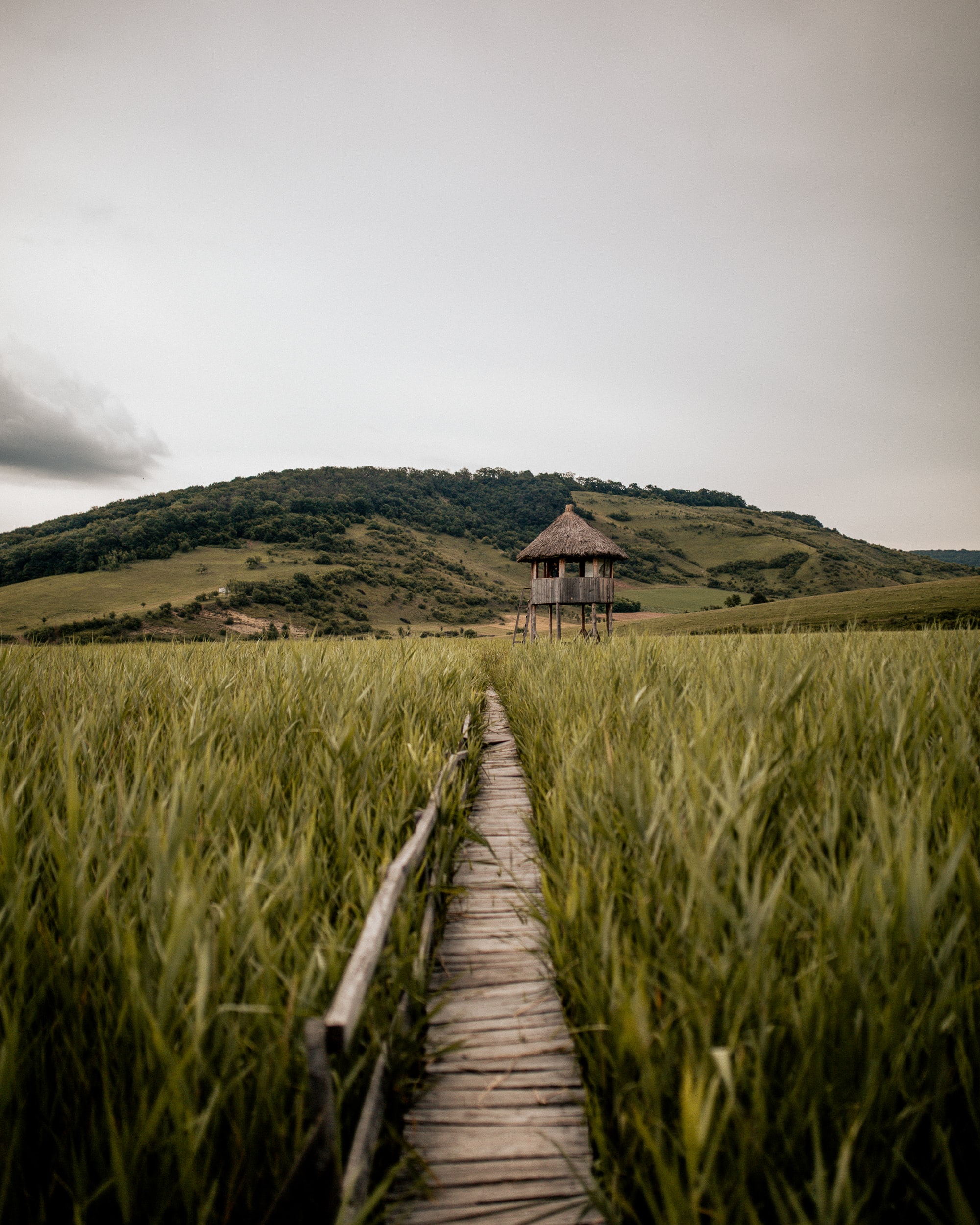 Download mobile wallpaper Dahl, Distance, Grass, Path, Hill, Building, Nature for free.