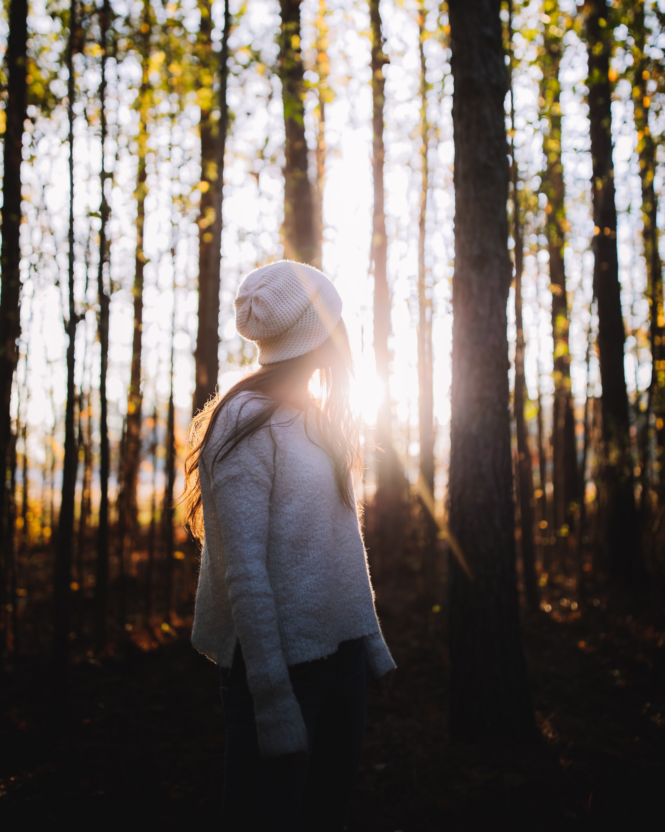 girl, miscellanea, sunlight, trees, glare, miscellaneous, forest High Definition image