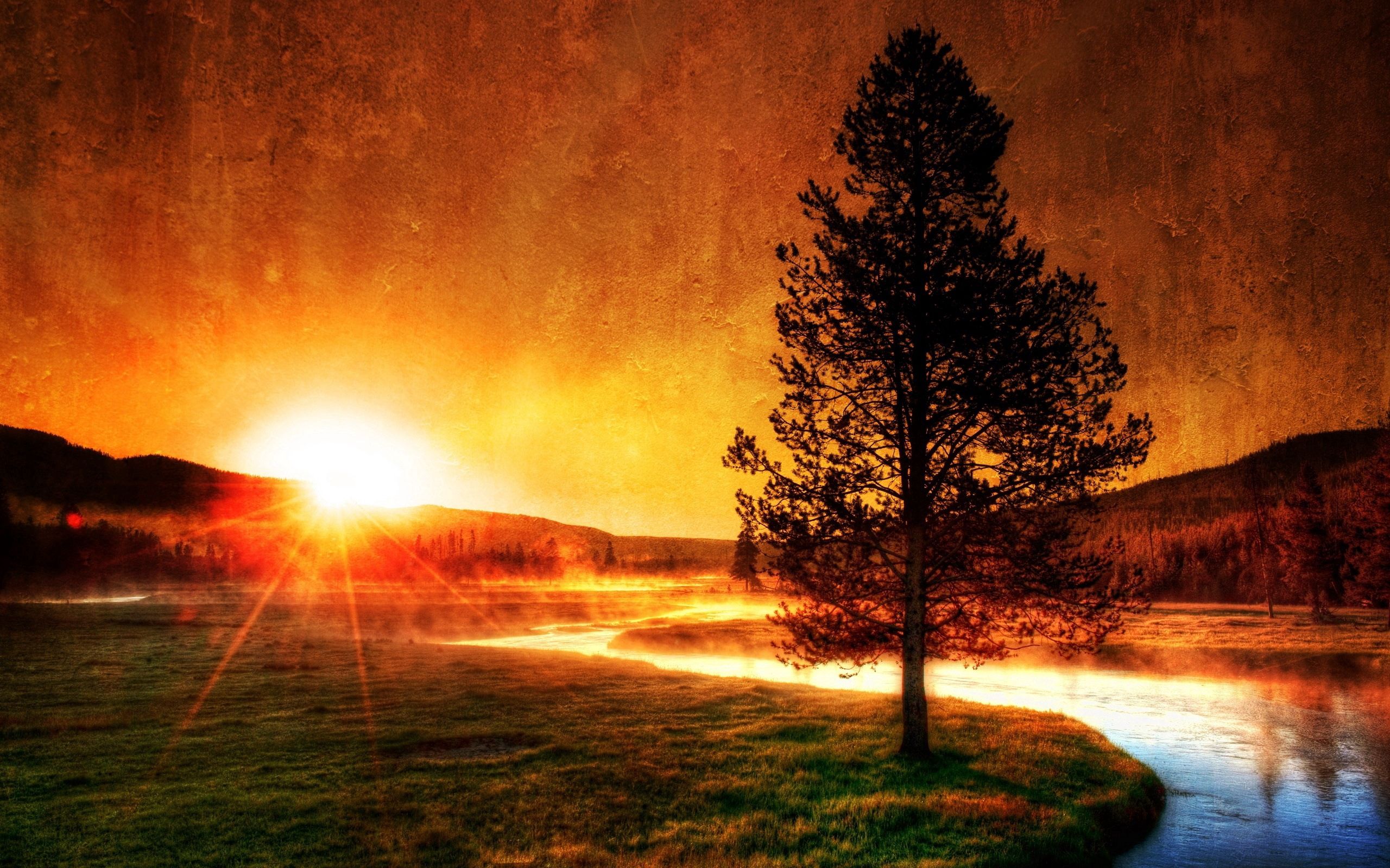beams, nature, rivers, sunset, sun, wood, rays, tree, fog, evening HD for desktop 1080p