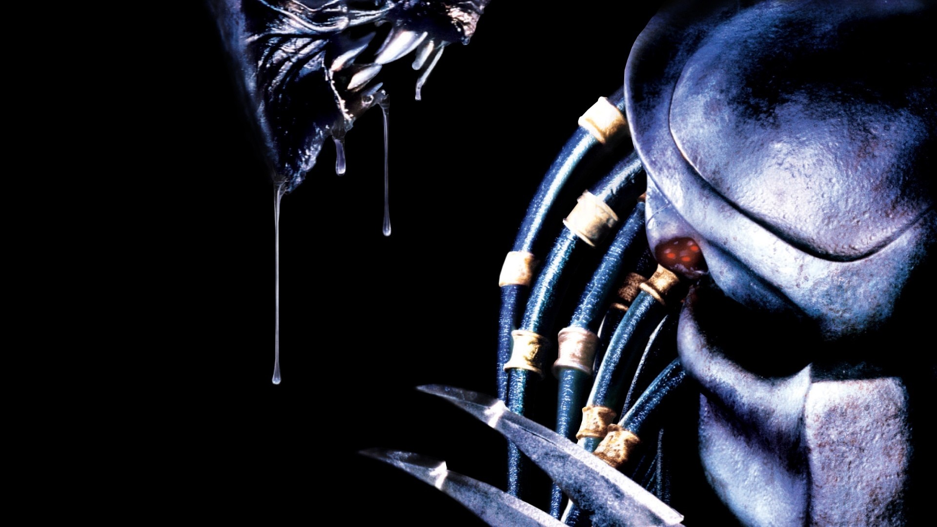 Aliens vs predator computer background - Cool , Alien Predator HD