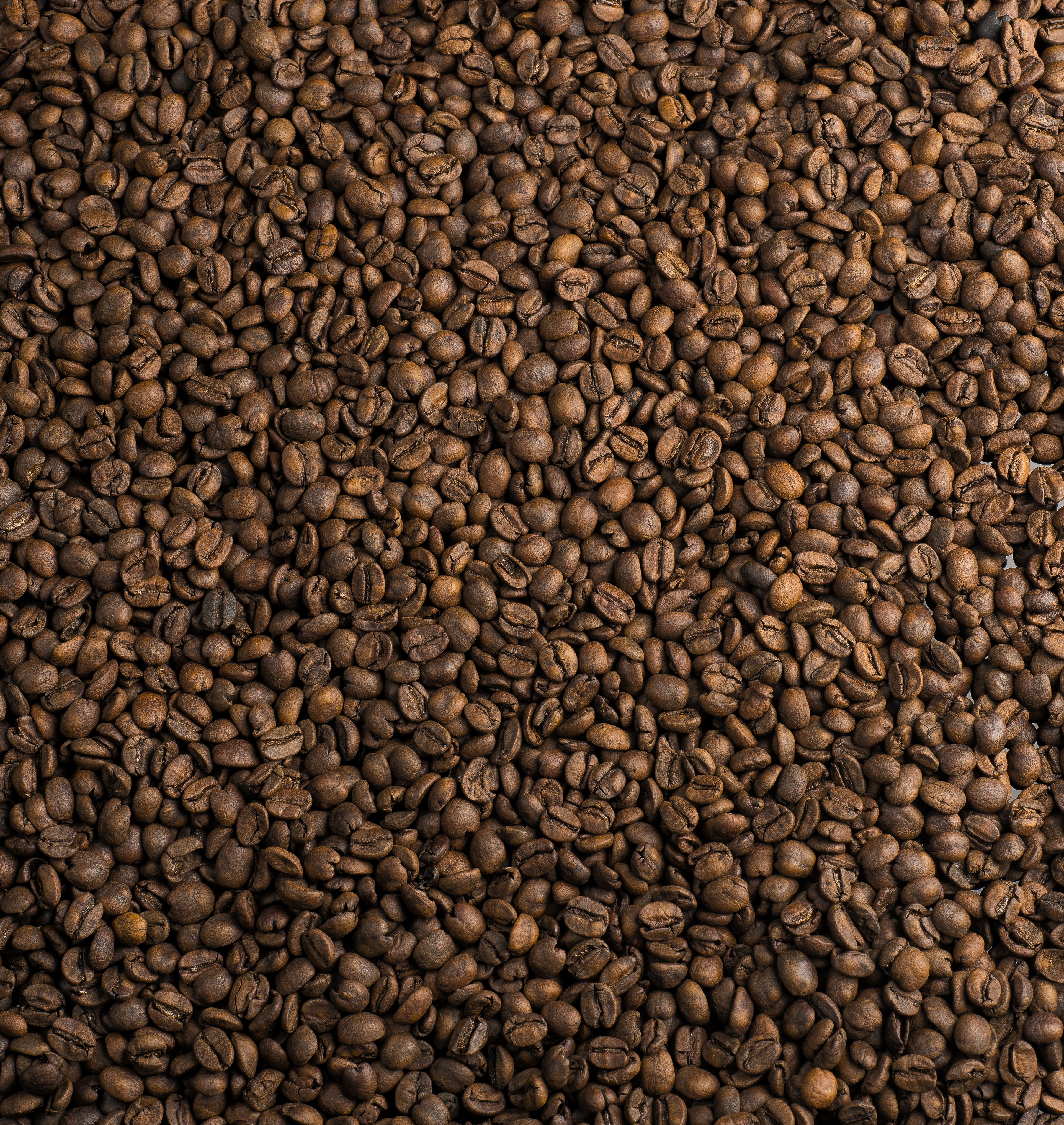 textures, café, coffee, texture, coffee beans, fried, roasted, coffee house phone background