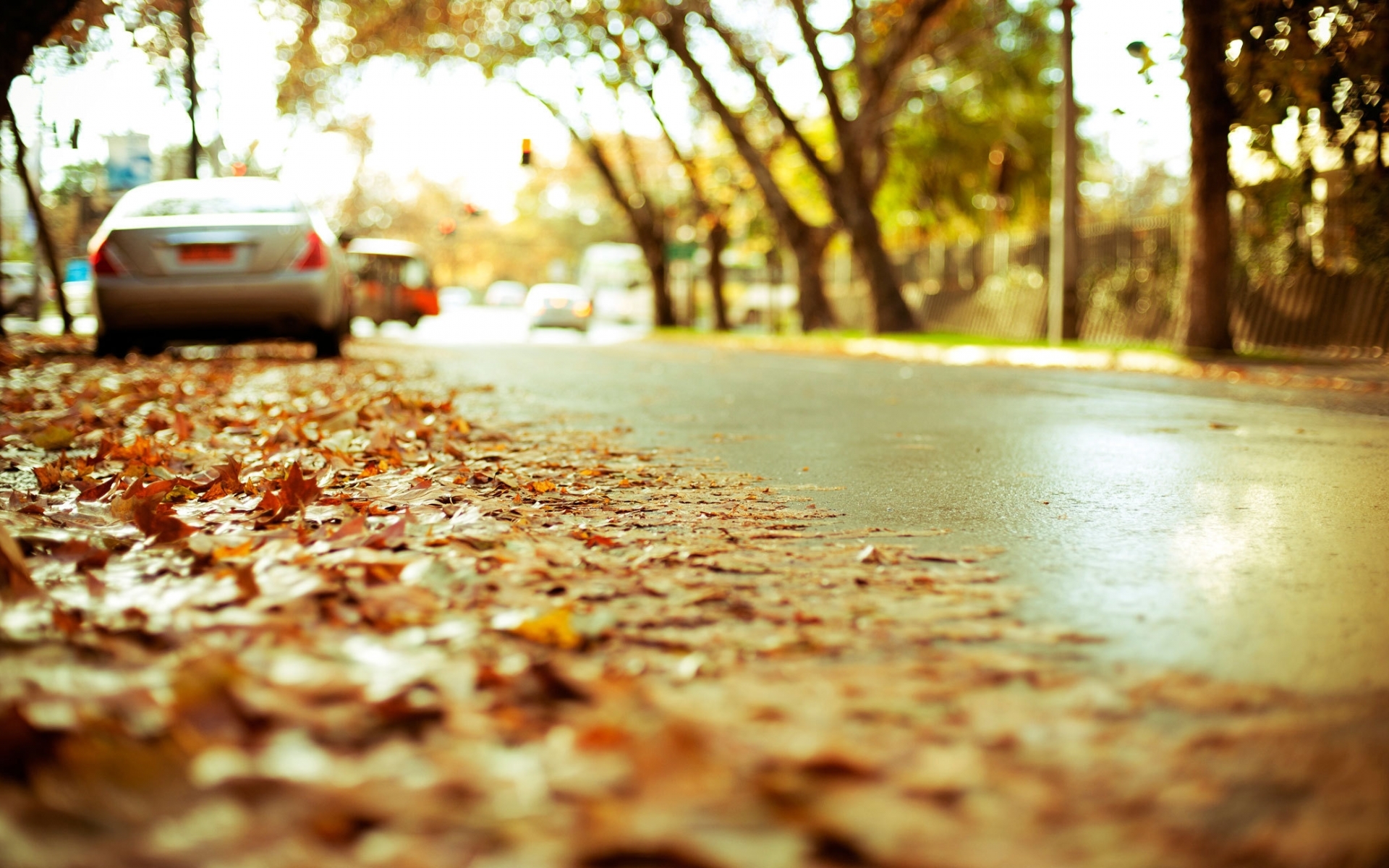Download mobile wallpaper Landscape, Leaves, Roads, Autumn for free.