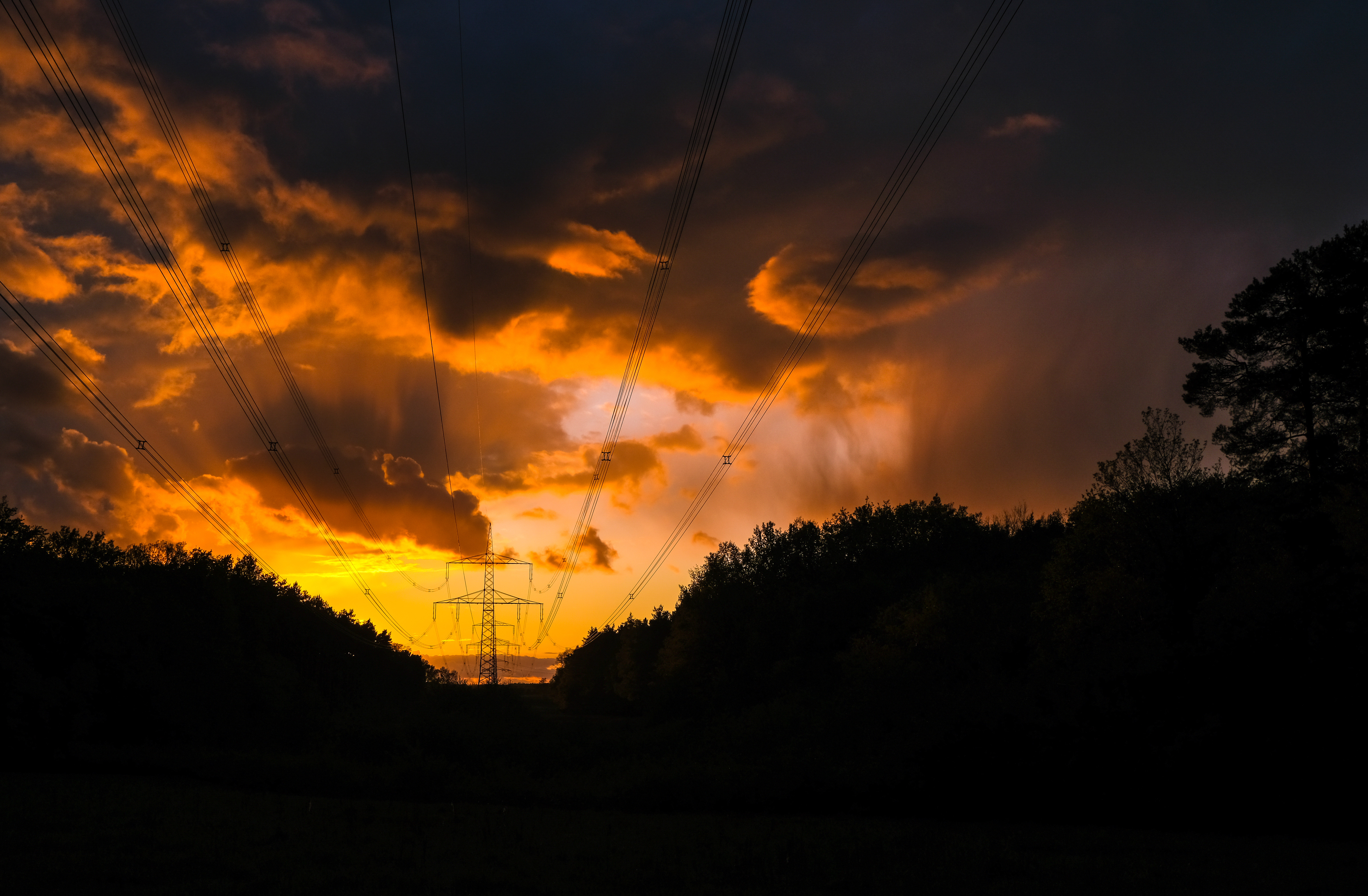 nature, trees, sunset, clouds, wires, wire