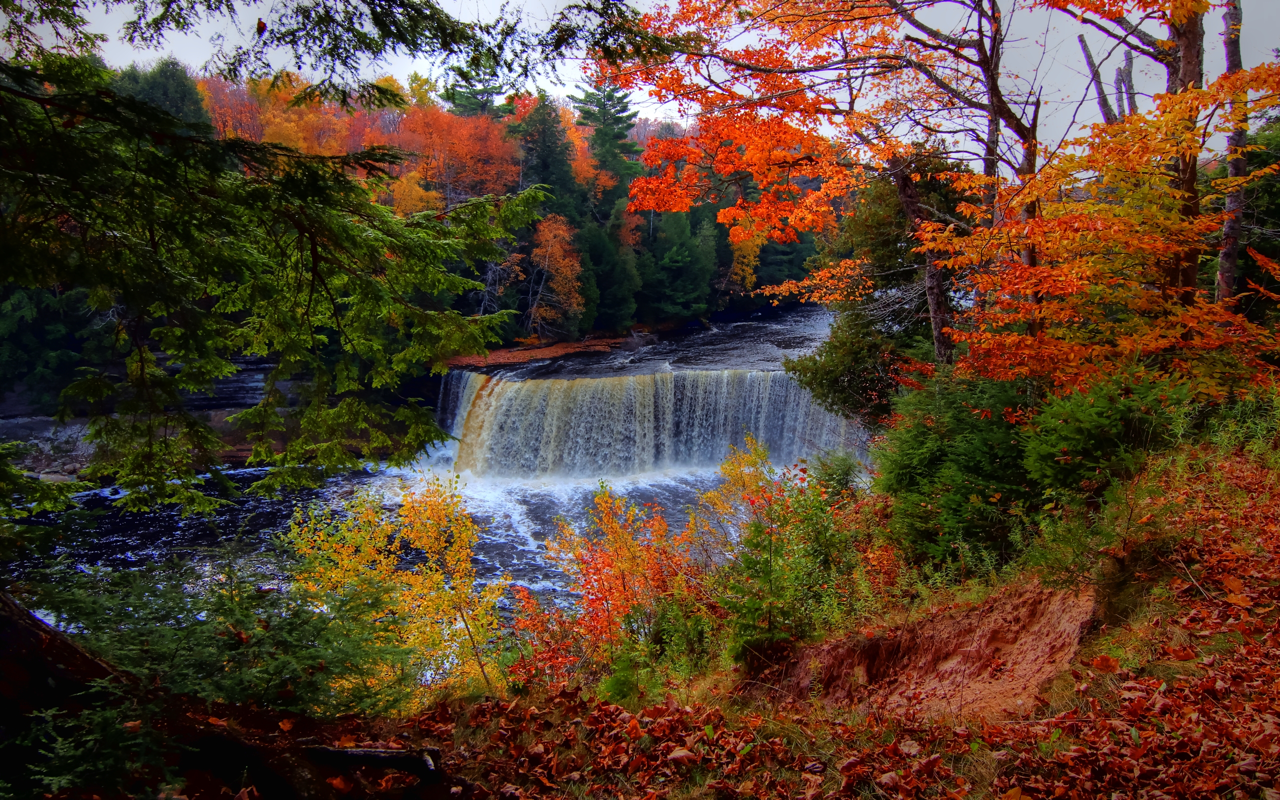 Осень лес водопад