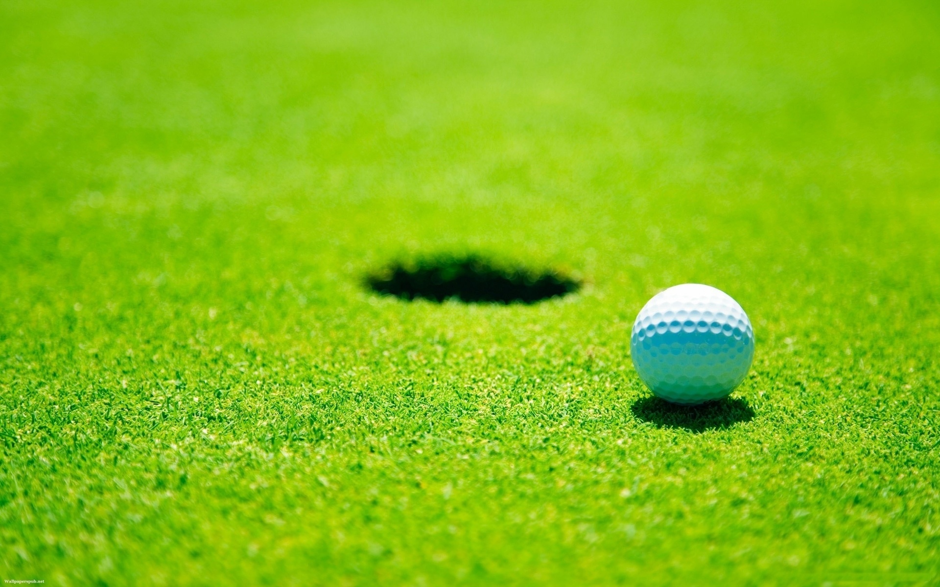 sports, golf Smartphone Background