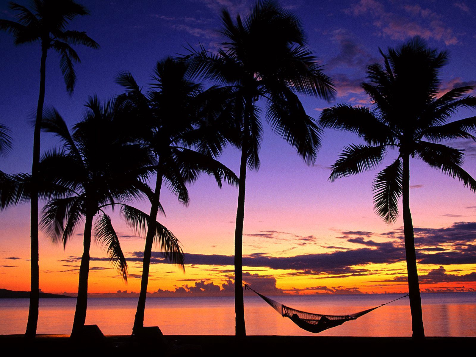 Free download wallpaper Fiji, Nature, Sunset, Palms, Shore, Bank, Evening, Hammock on your PC desktop