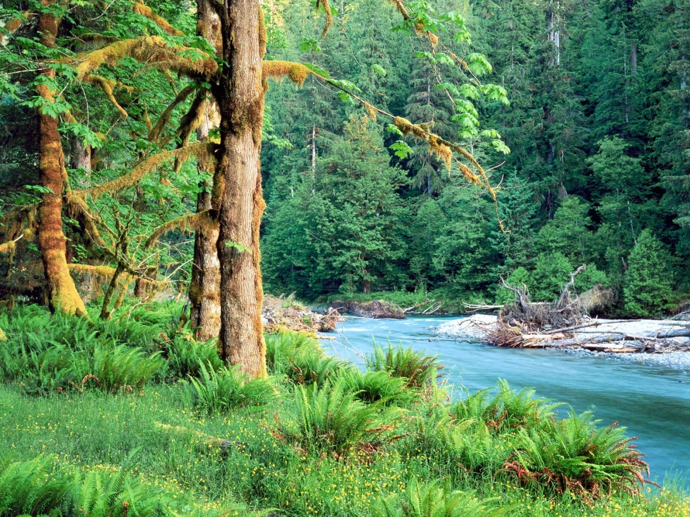 Download mobile wallpaper Rivers, Nature, Landscape for free.