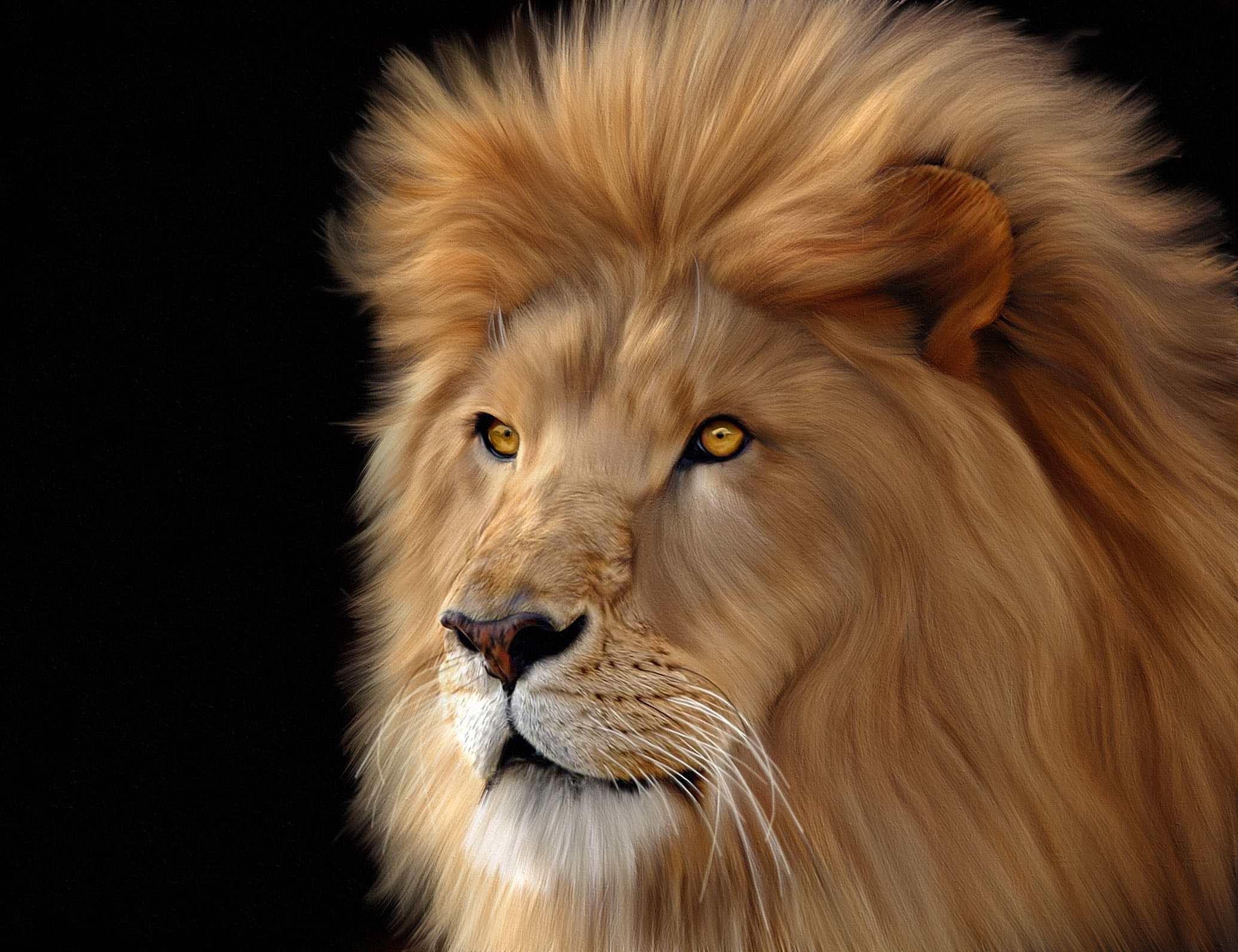 Лев Король зверей