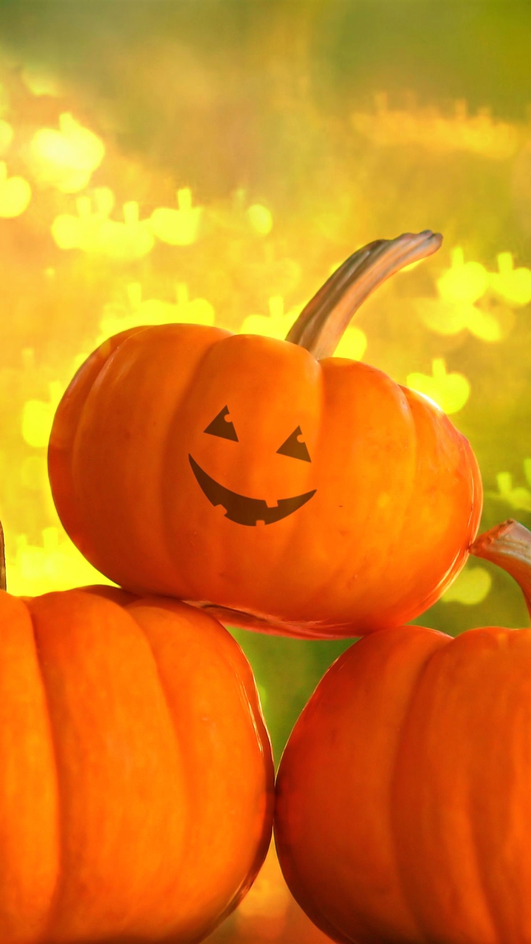 Download mobile wallpaper Halloween, Pumpkin, Holiday, Smile, Face, Gourd for free.