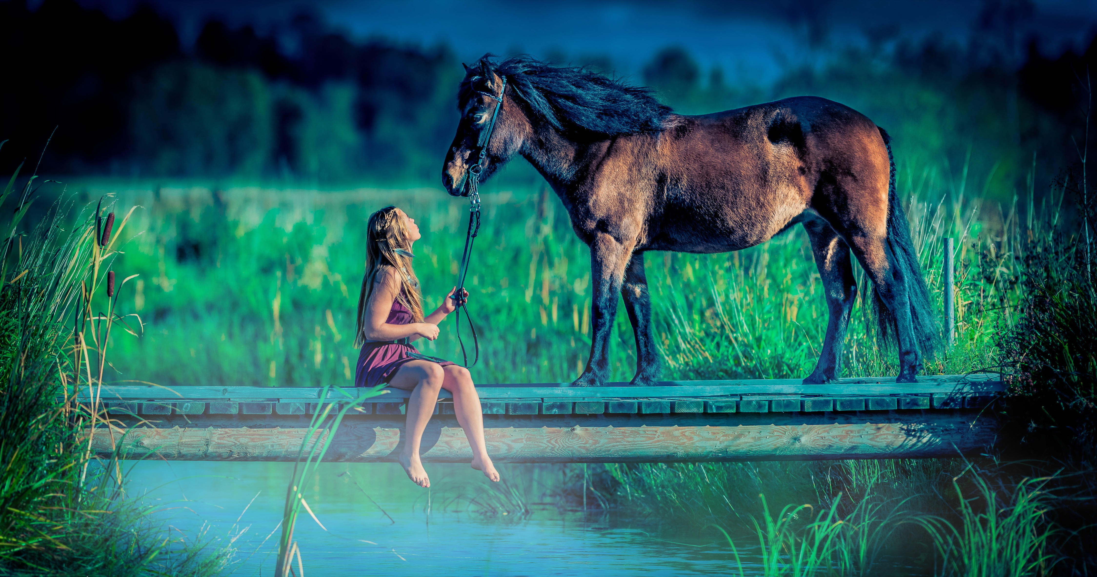 Дикая лошадь в озере арты