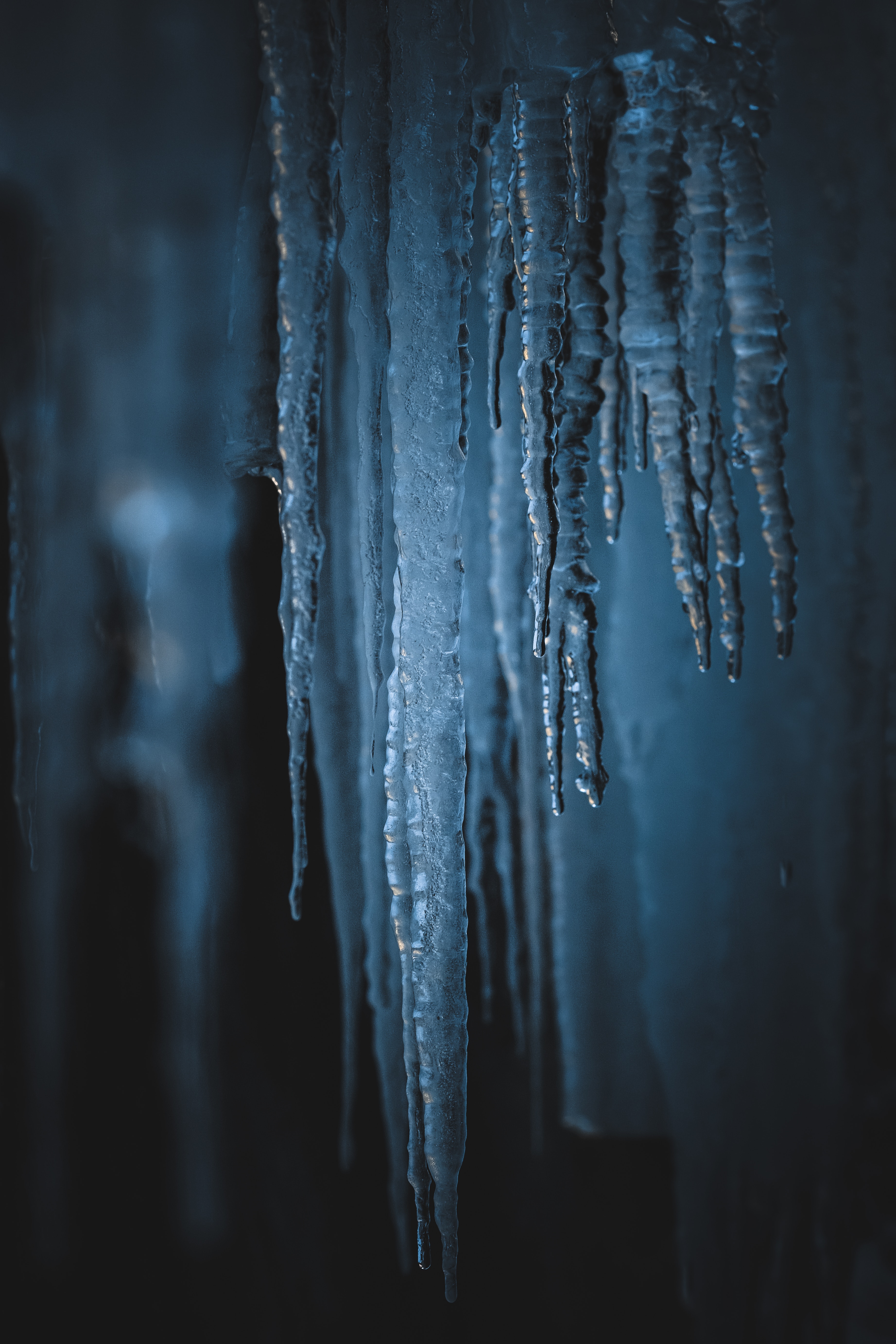 icicles, ice, macro, frost, frozen