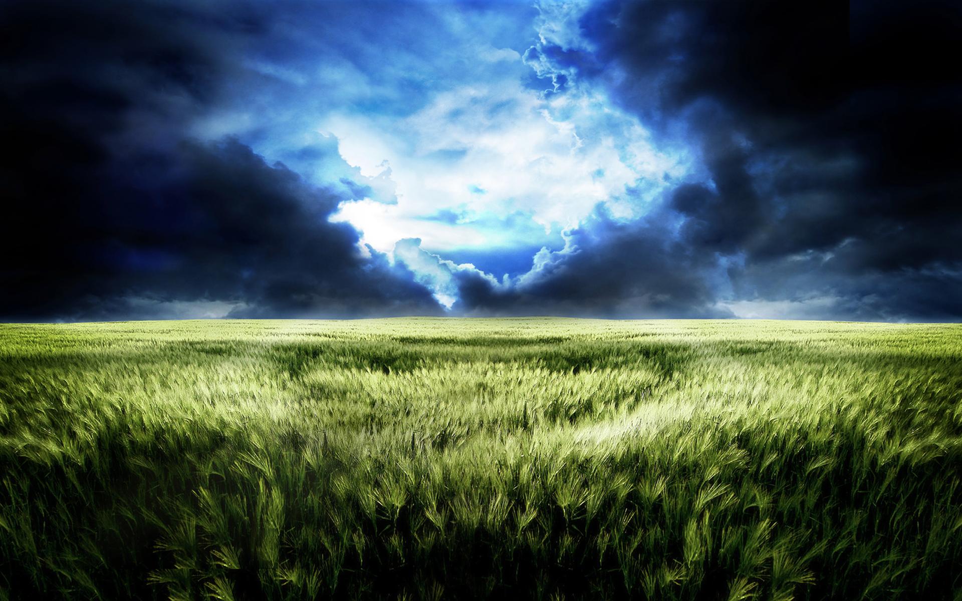 cgi, sky, cloud, plant, field, landscape, earth HD wallpaper