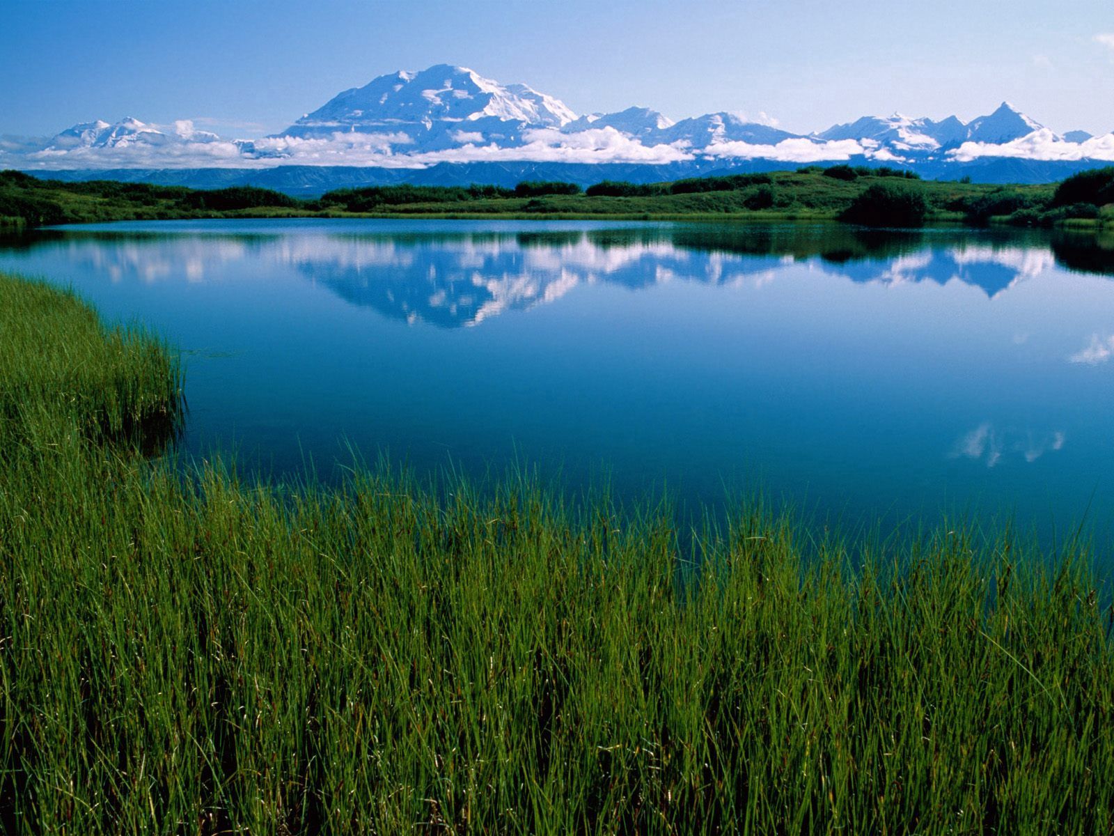 Handy-Wallpaper Natur, Berg, Vegetation, Alaska, Lake Mckinley kostenlos herunterladen.