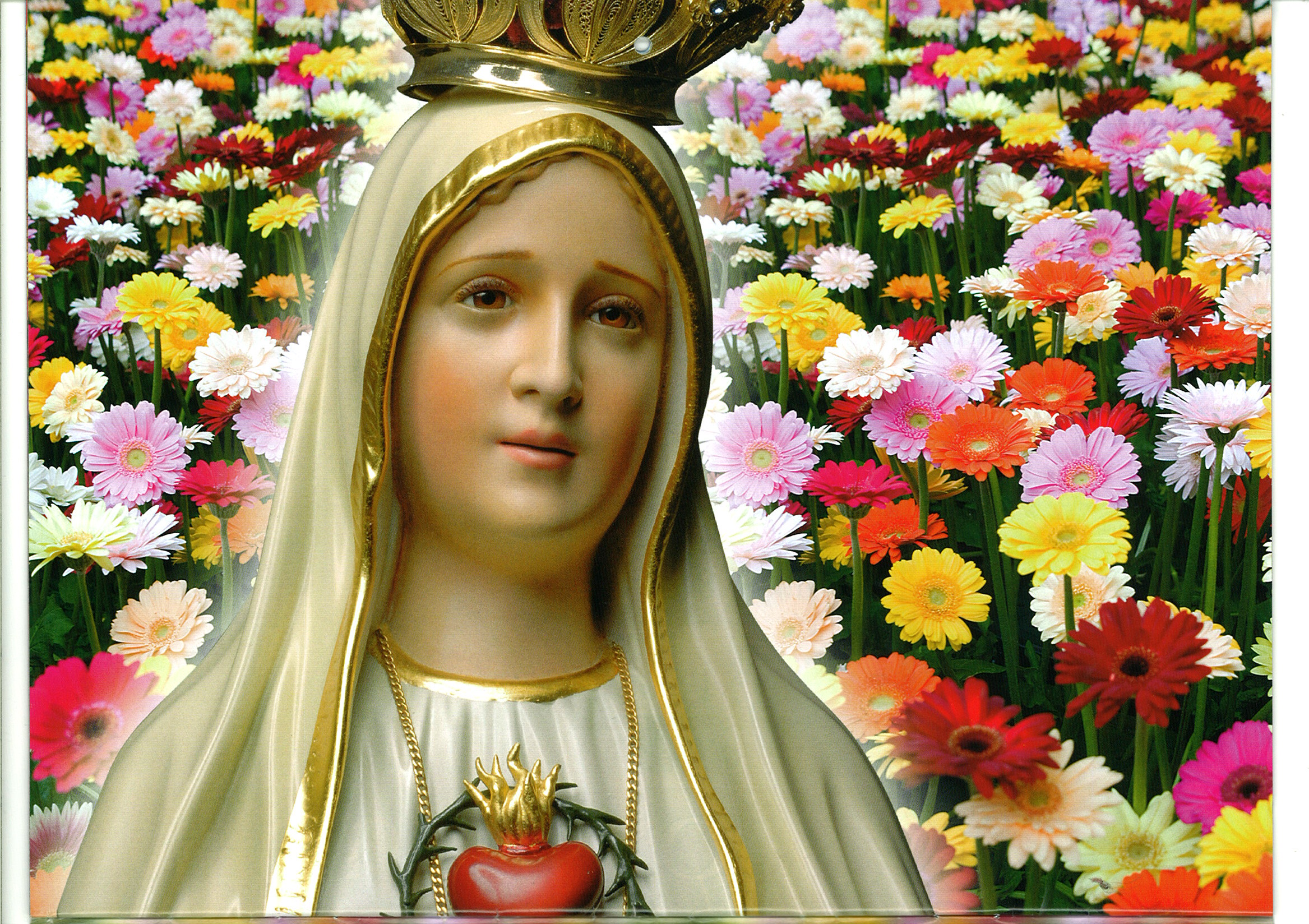 Wallpaper ID 461178  Religious Mary Phone Wallpaper Mary Mother Of Jesus  Our Lady Of Fátima 720x1280 free download