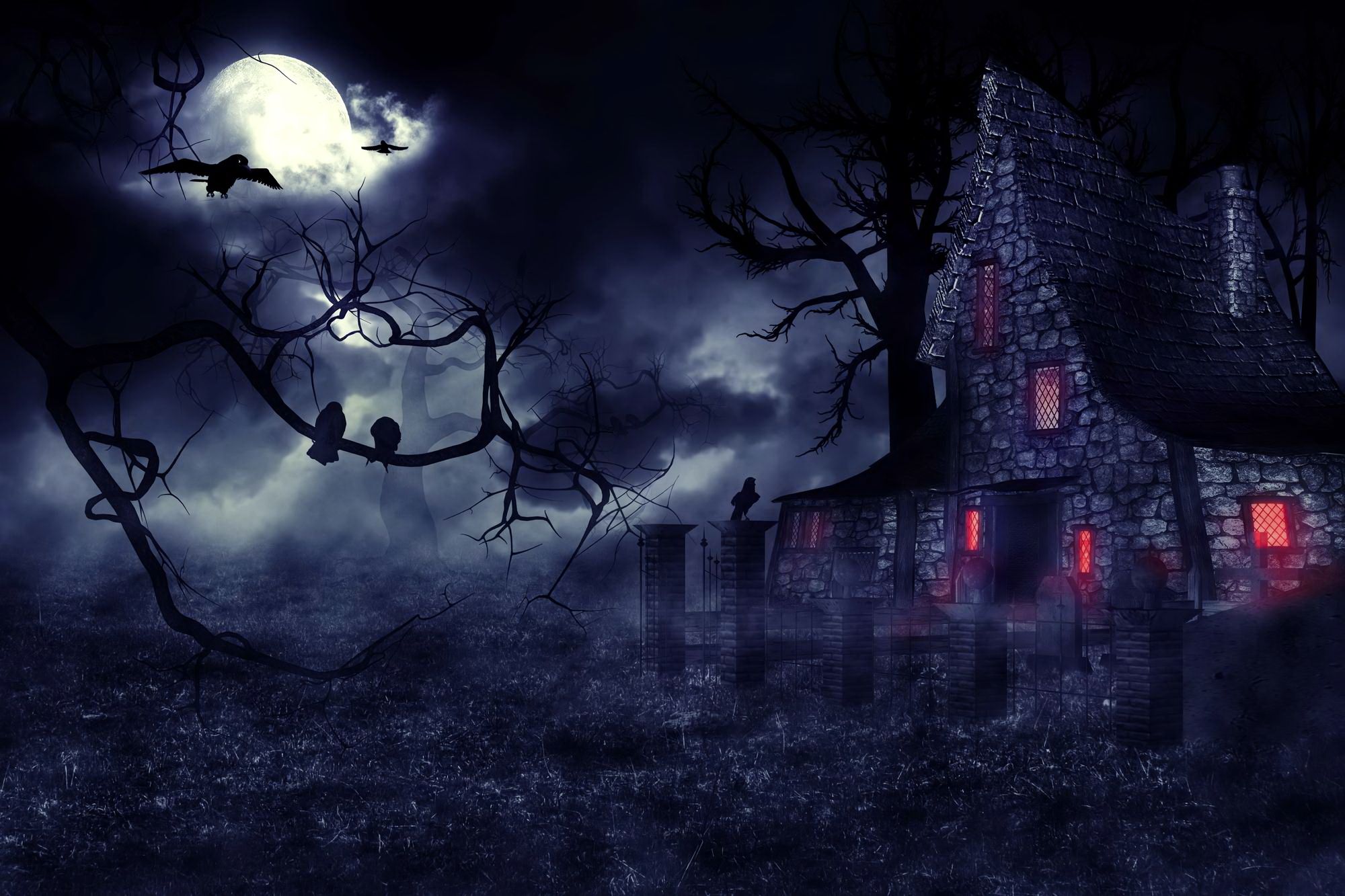 Download mobile wallpaper Night, Moon, Dark, Tree, House, Creepy, Raven, Haunted House for free.