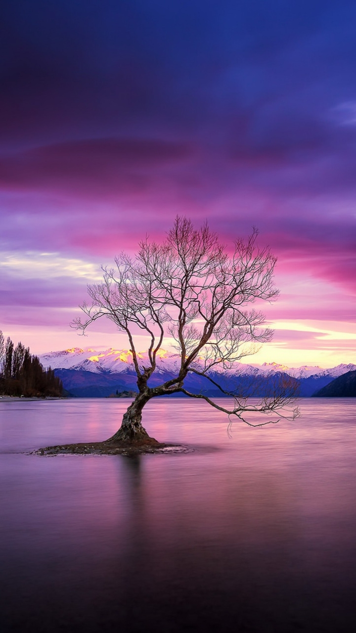 Download mobile wallpaper Nature, Trees, Sunset, Lake, Tree, Earth for free.