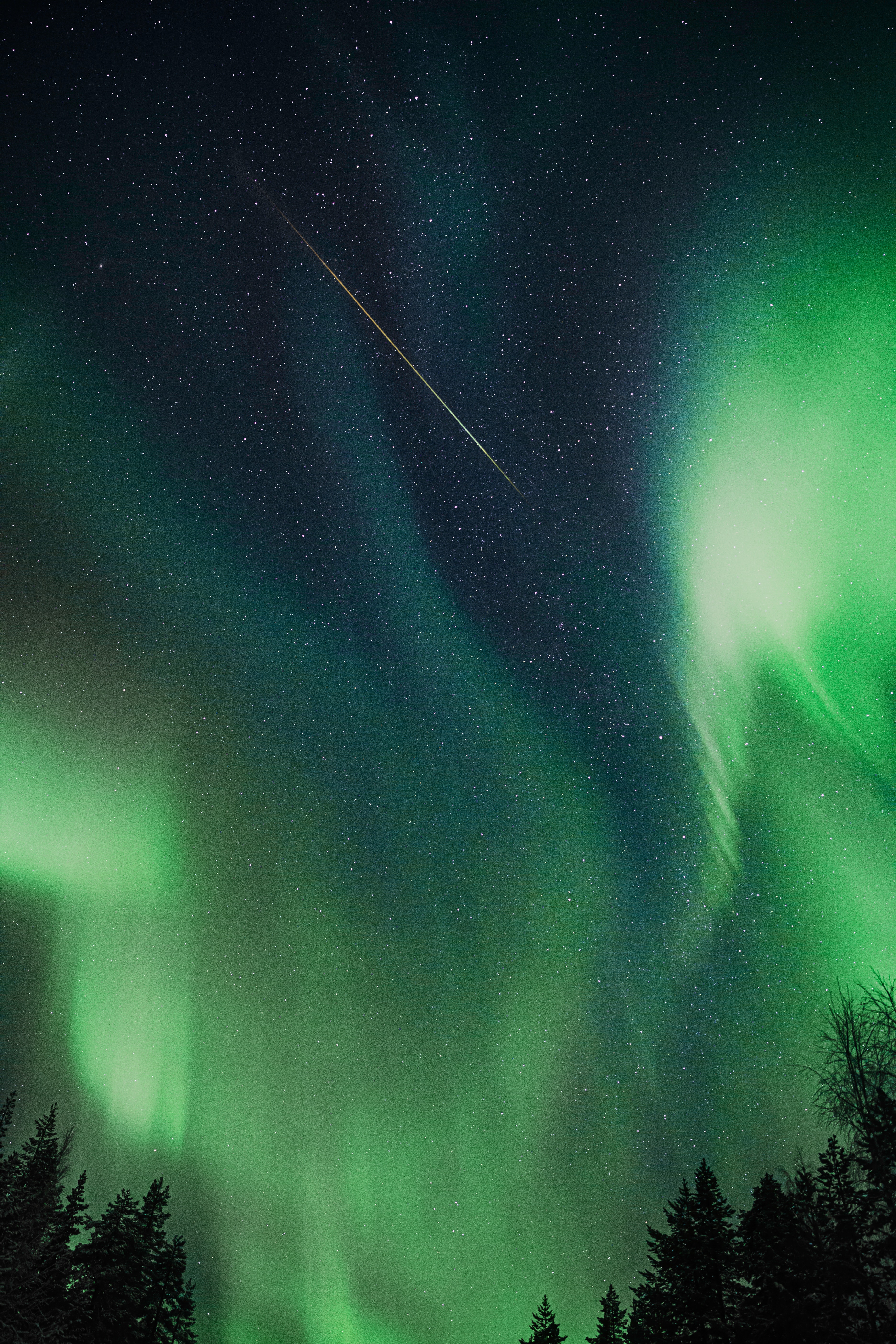 aurora, aurora borealis, northern lights, sky, nature, trees, night Full HD