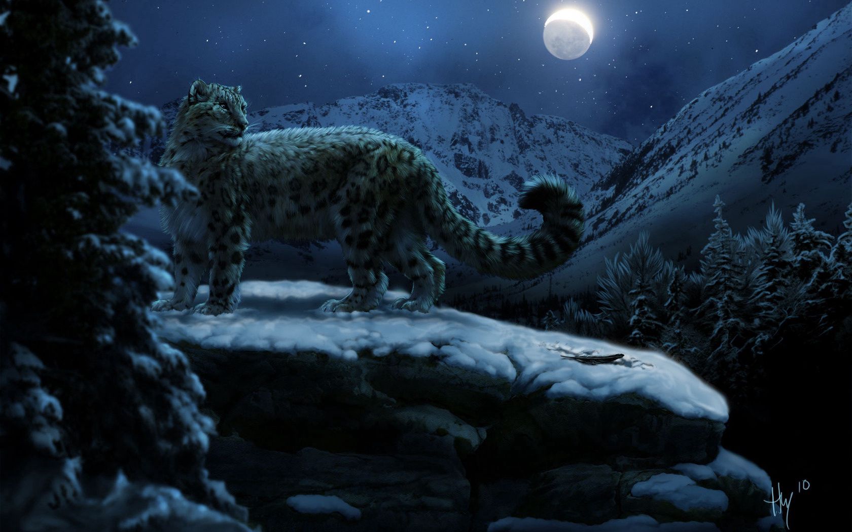 Baixar papel de parede para celular de Animais, Snow Leopard, Inverno, Lua gratuito.