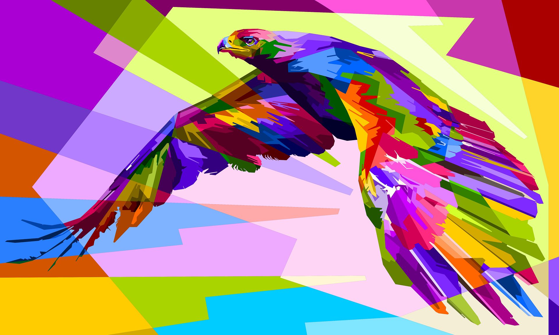 Download mobile wallpaper Birds, Bird, Colors, Animal, Colorful, Eagle, Geometry for free.