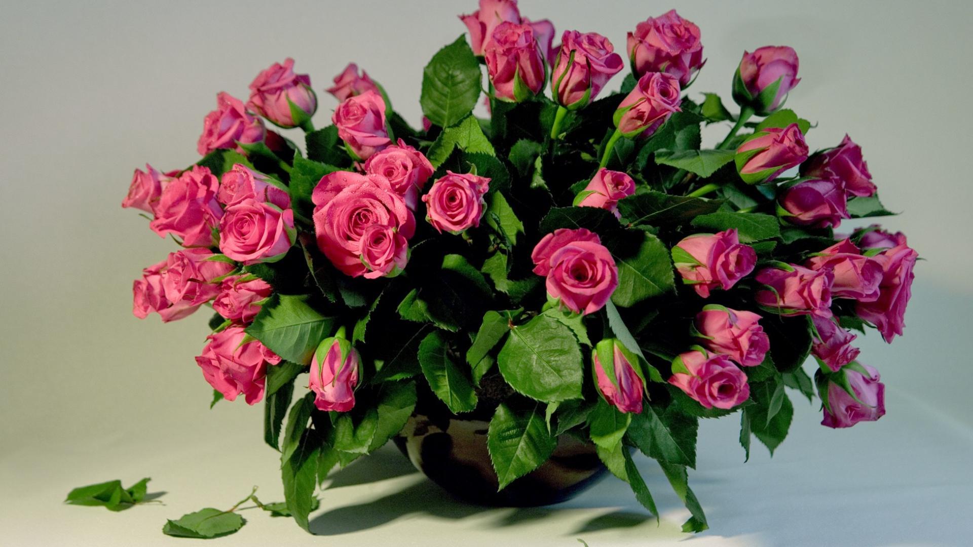Handy-Wallpaper Pflanzen, Roses, Bouquets kostenlos herunterladen.