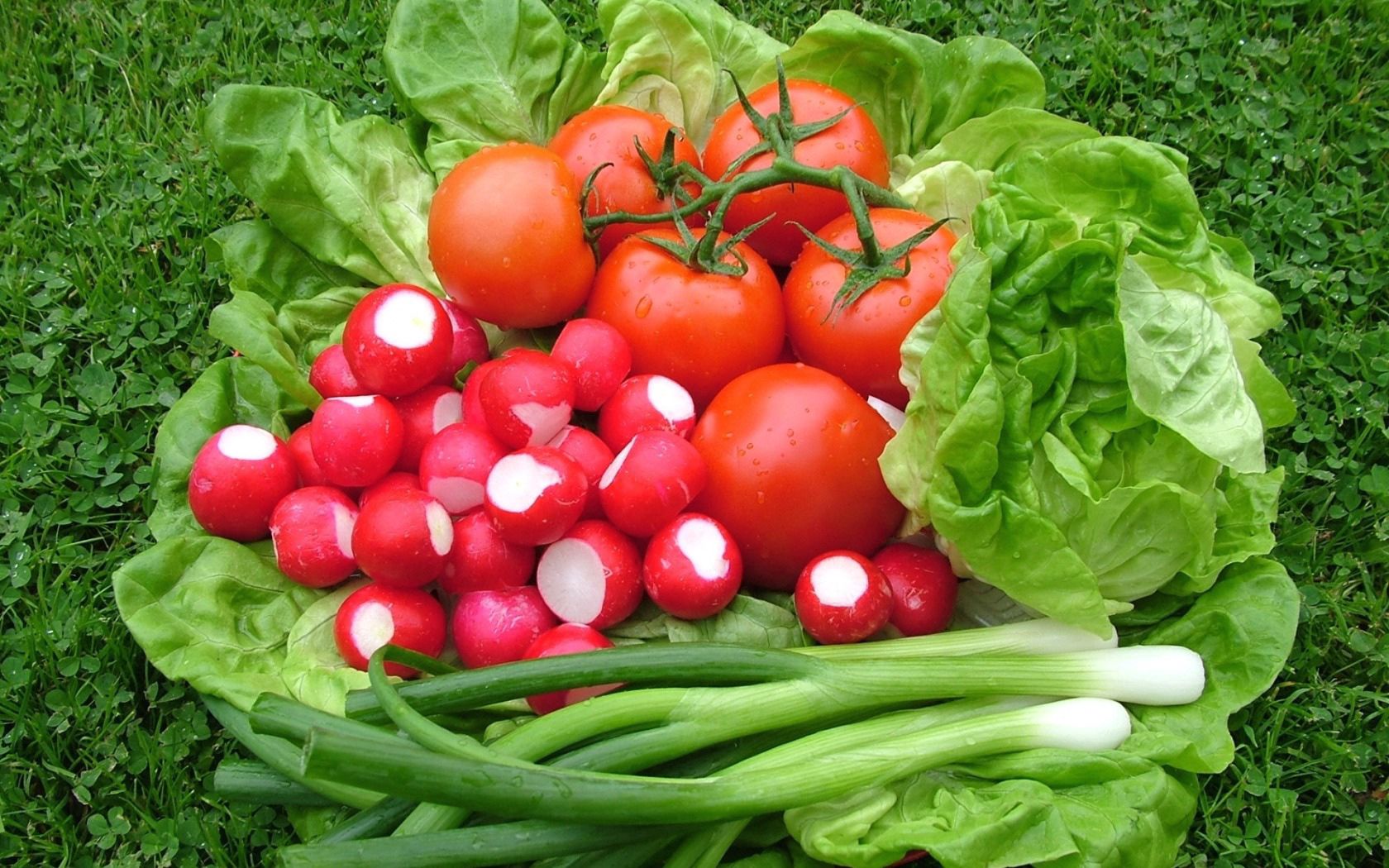 food, salad, tomatoes, onion, redick